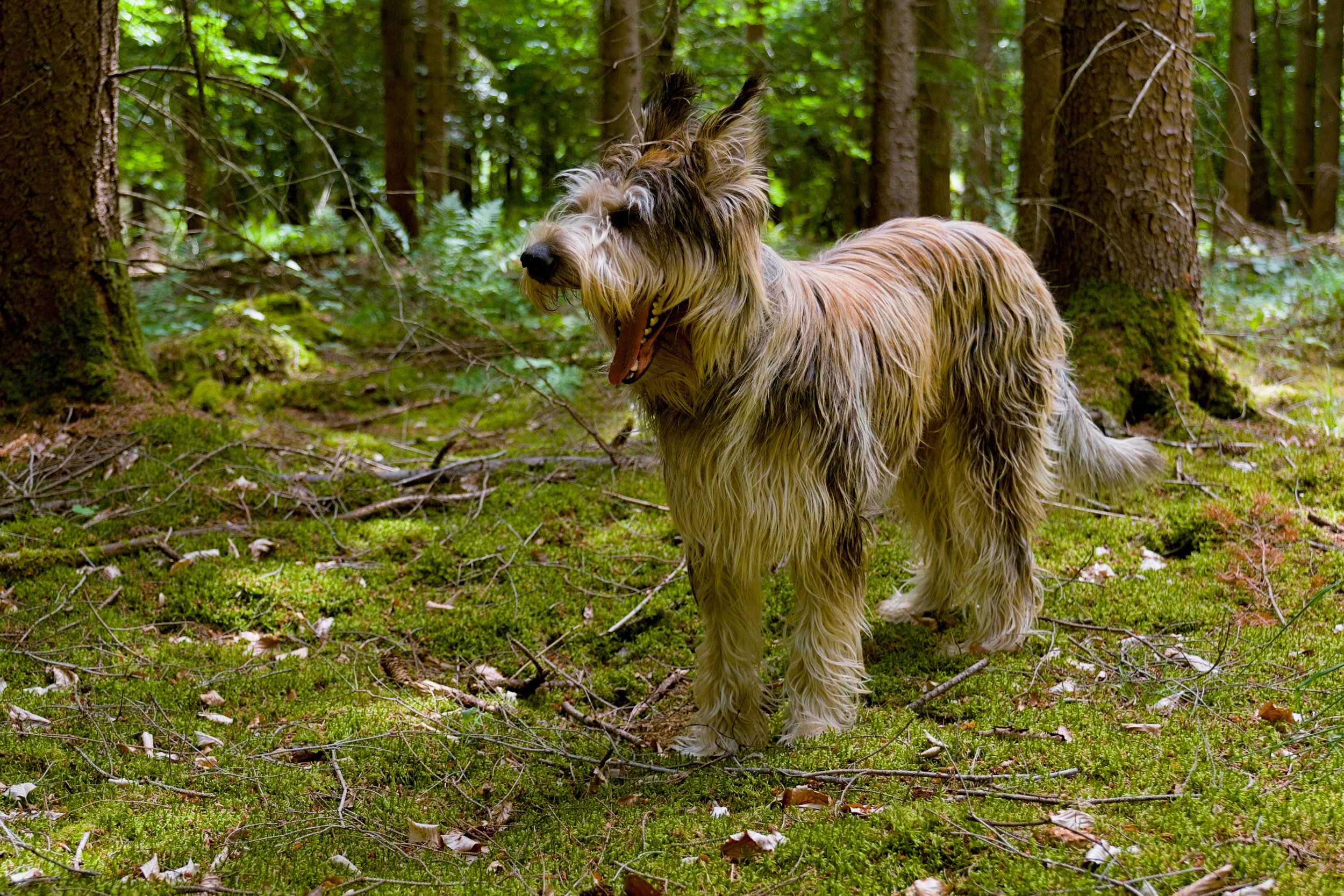DSCF3657.jpg