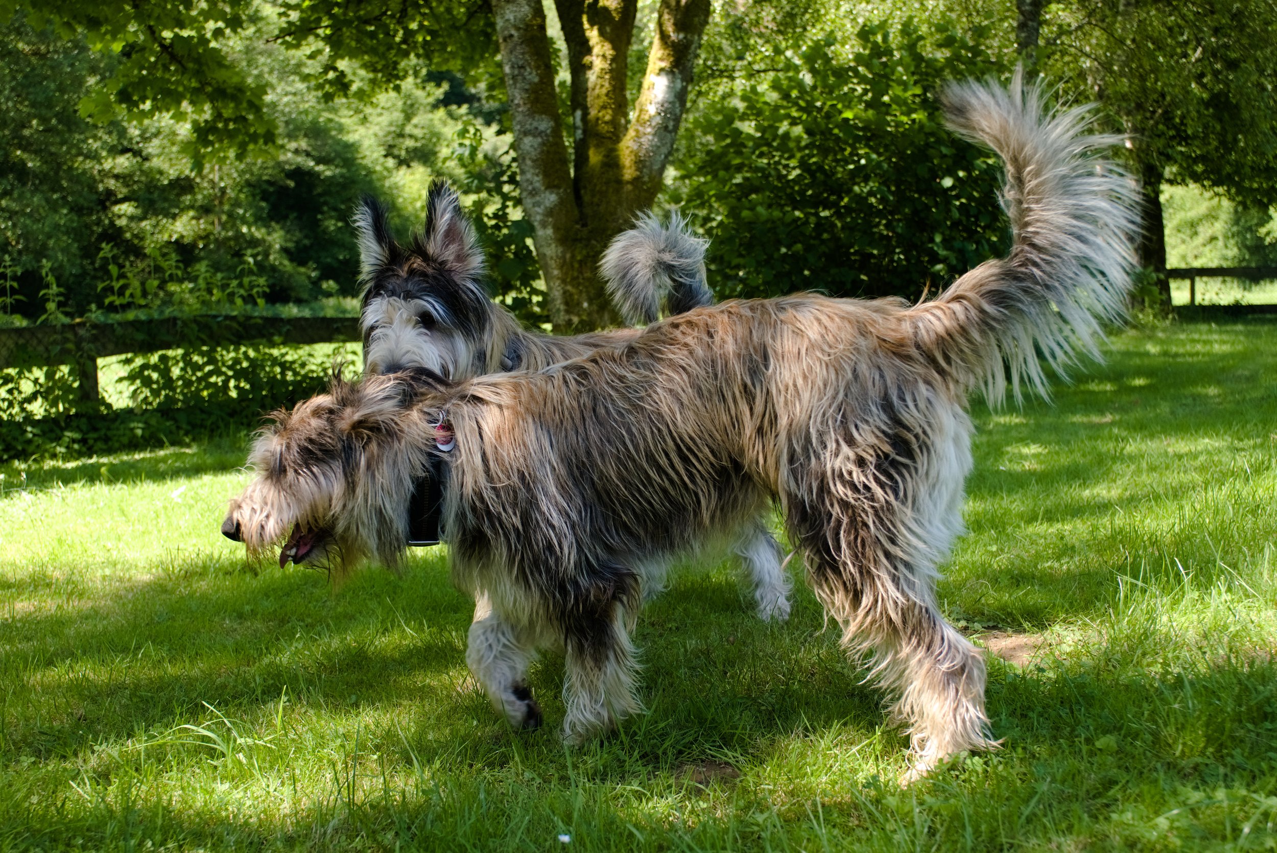 DSCF3591.jpg