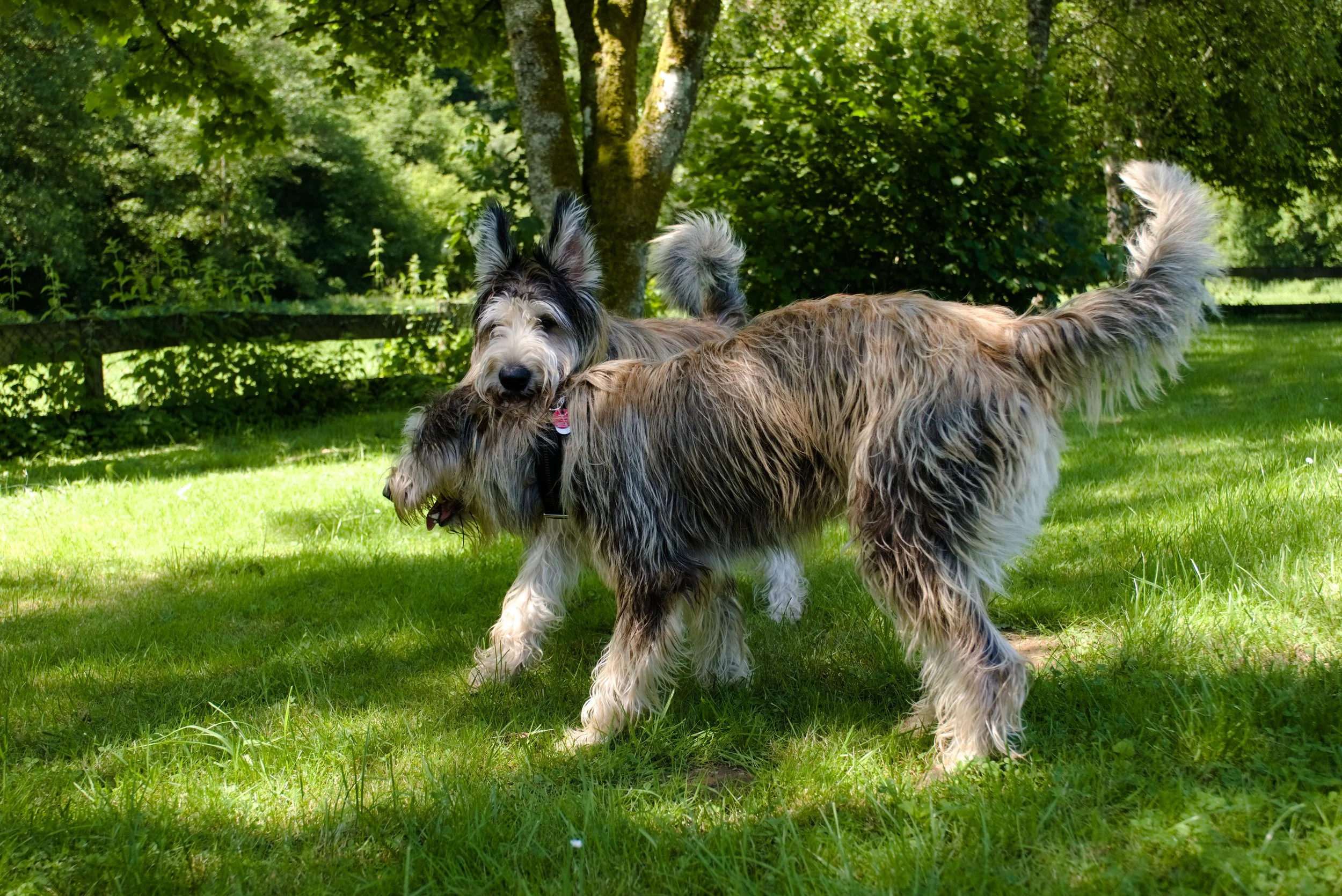 DSCF3590.jpg
