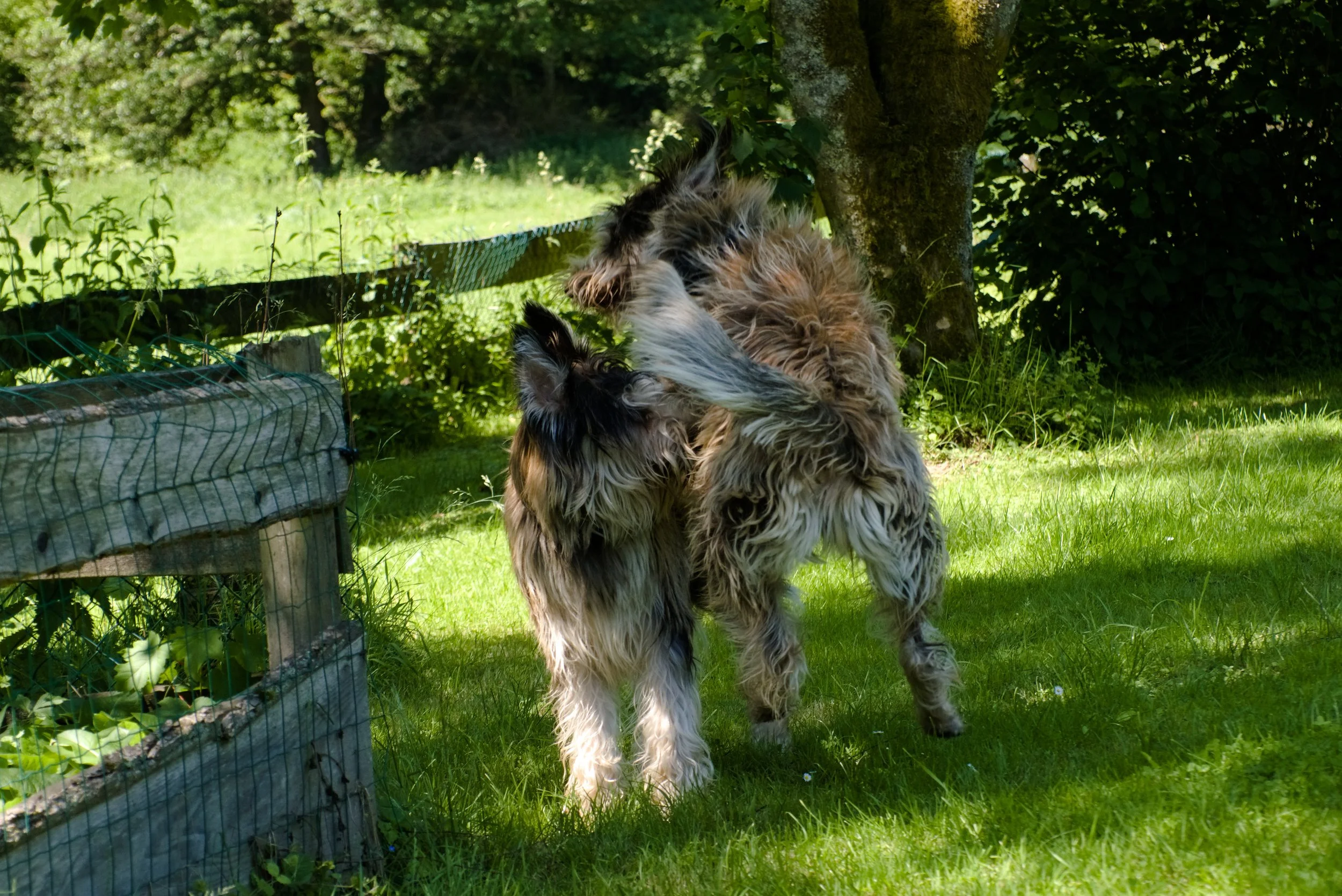 DSCF3582.jpg