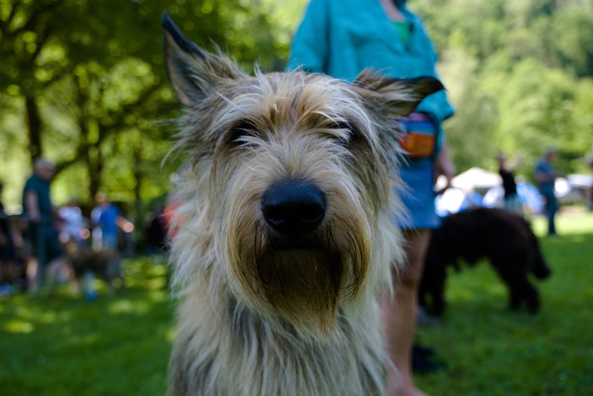 Ein Freund auf der Picard Spezial