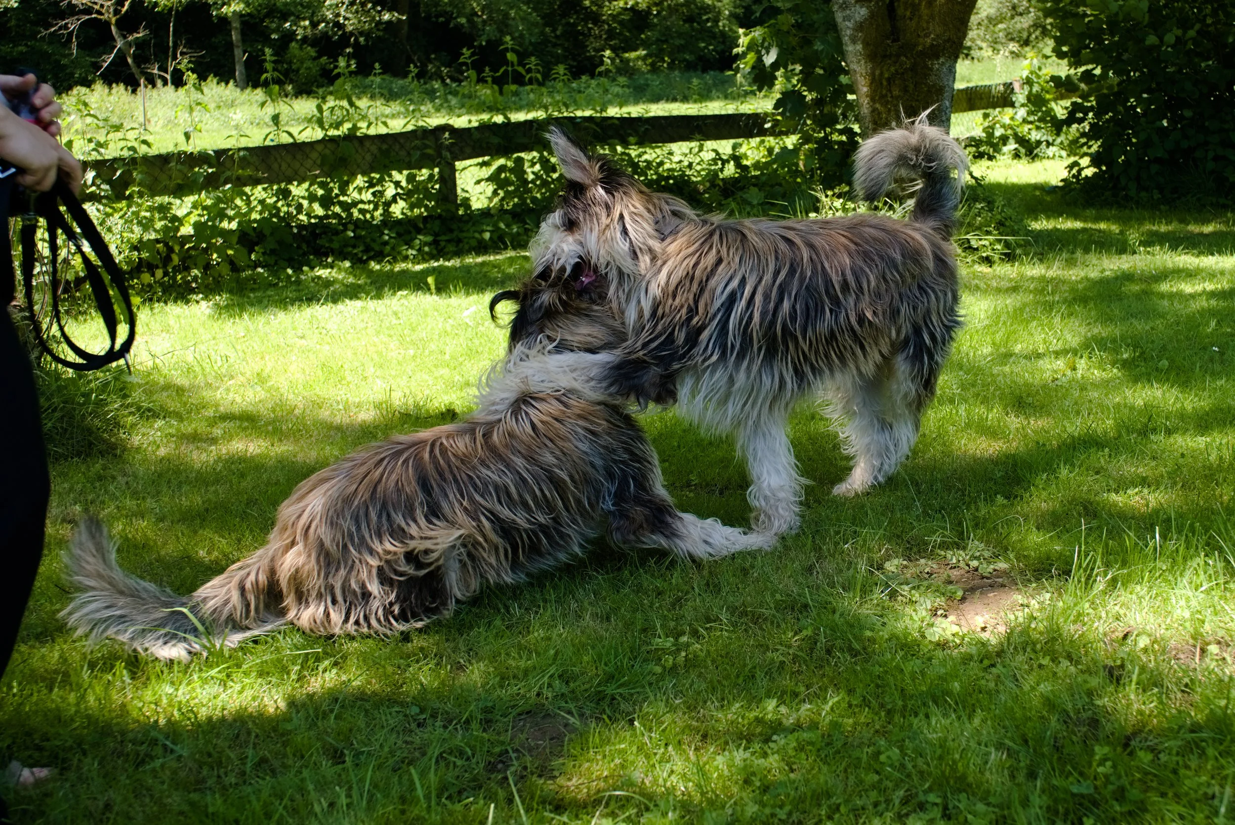 DSCF3604.jpg