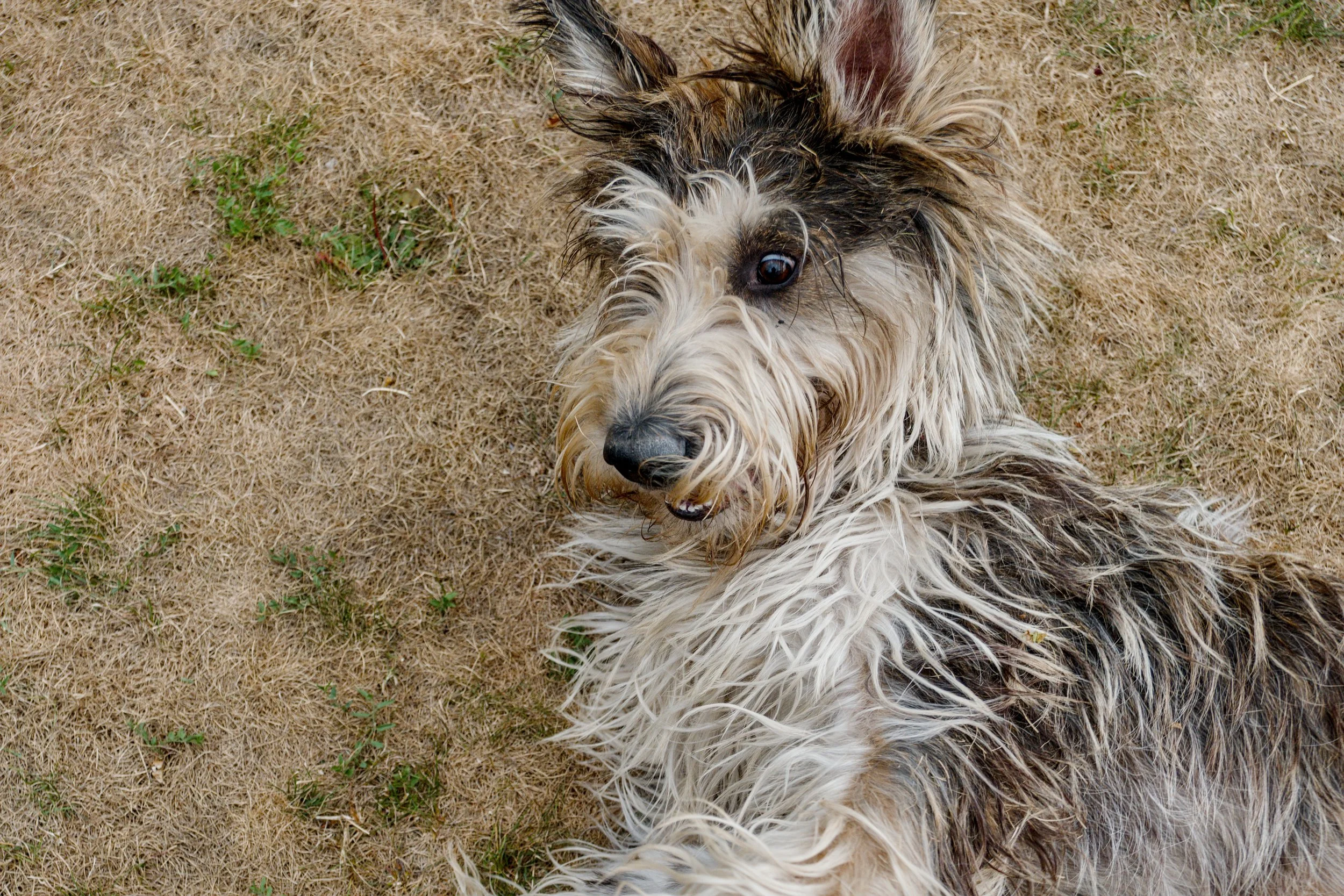 DSCF3765.jpg