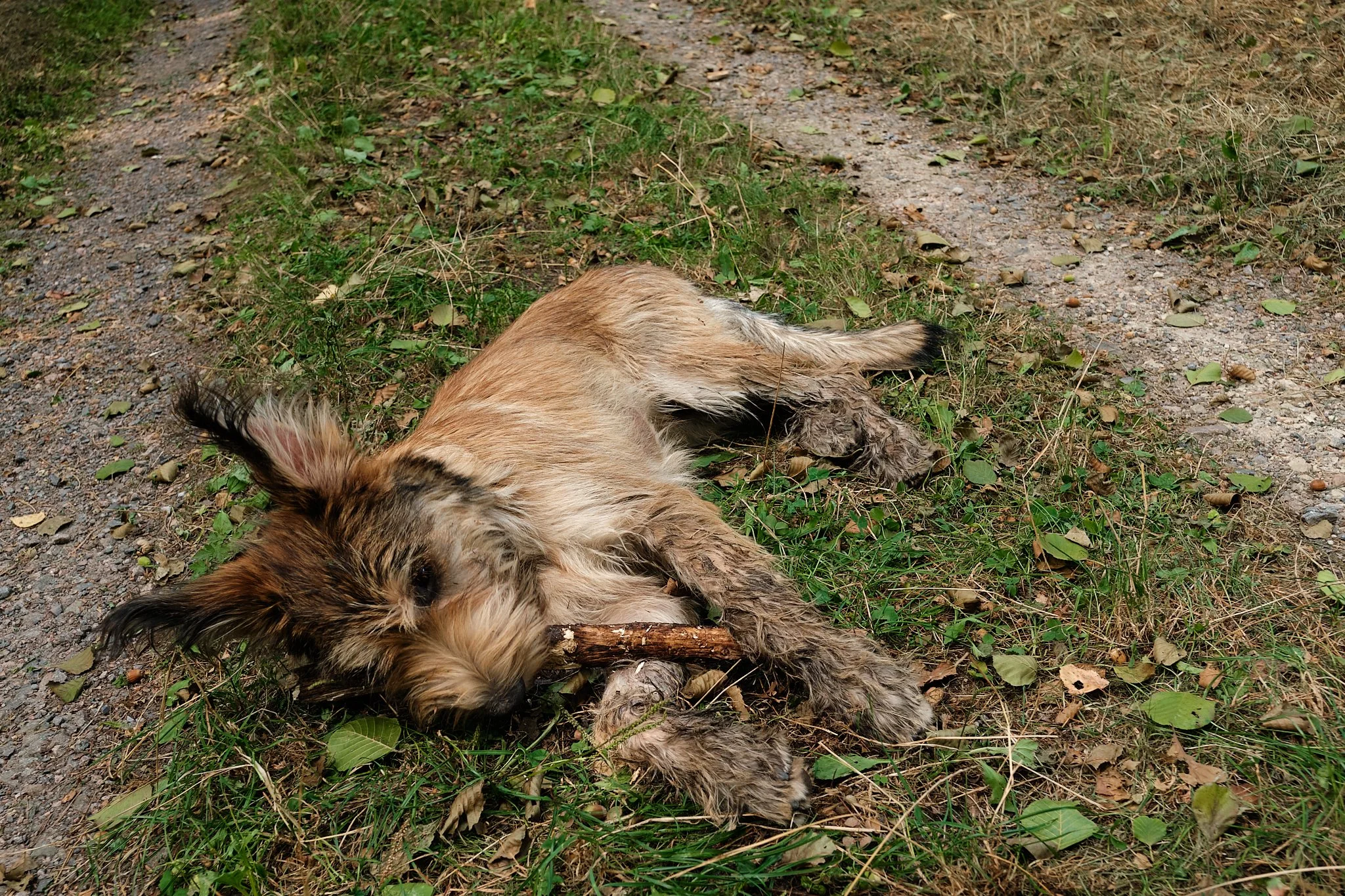 Zum Glück riecht man den Dreck nicht auf den Fotos