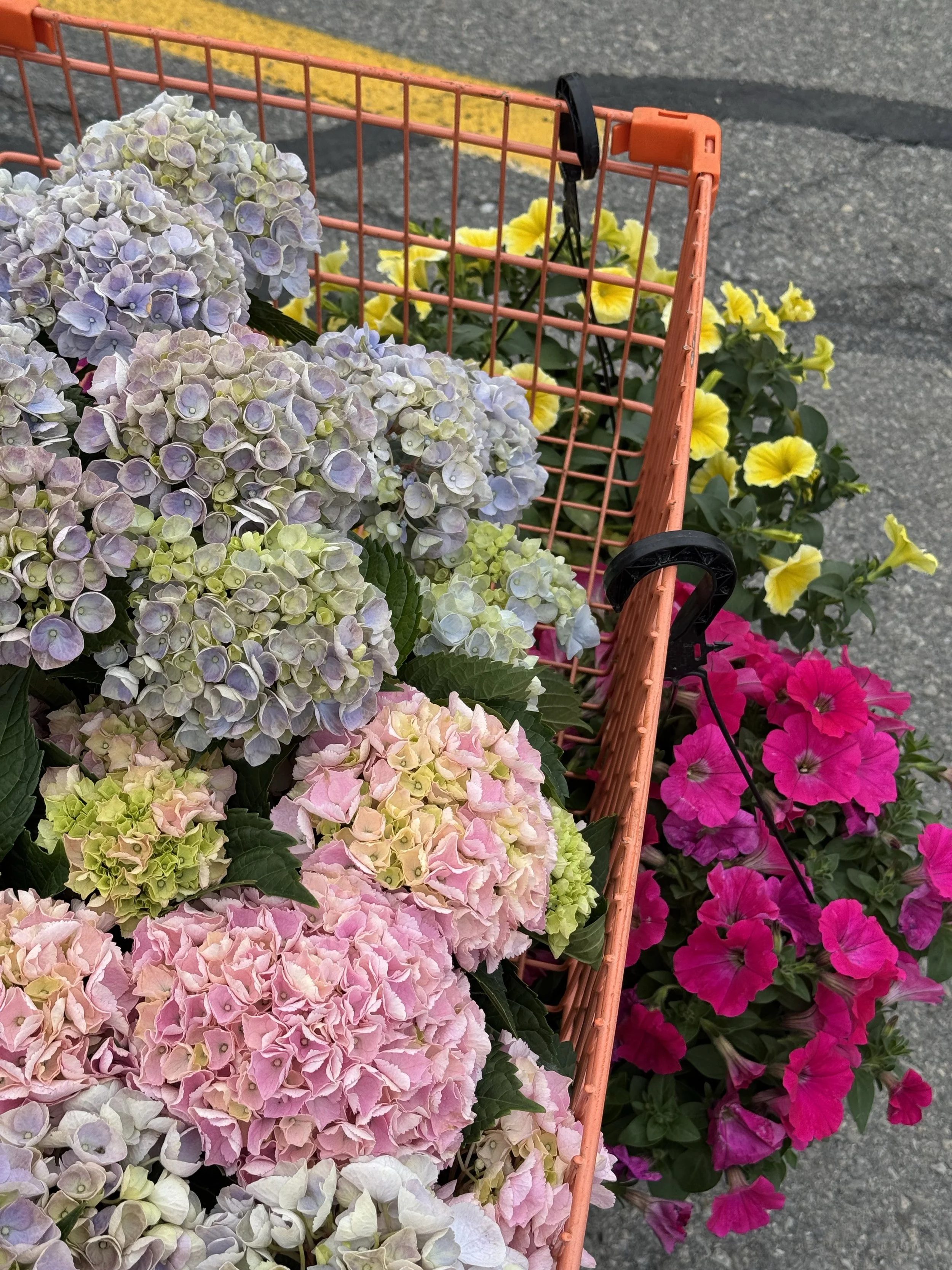 Spring Behind The Scene shot.jpeg