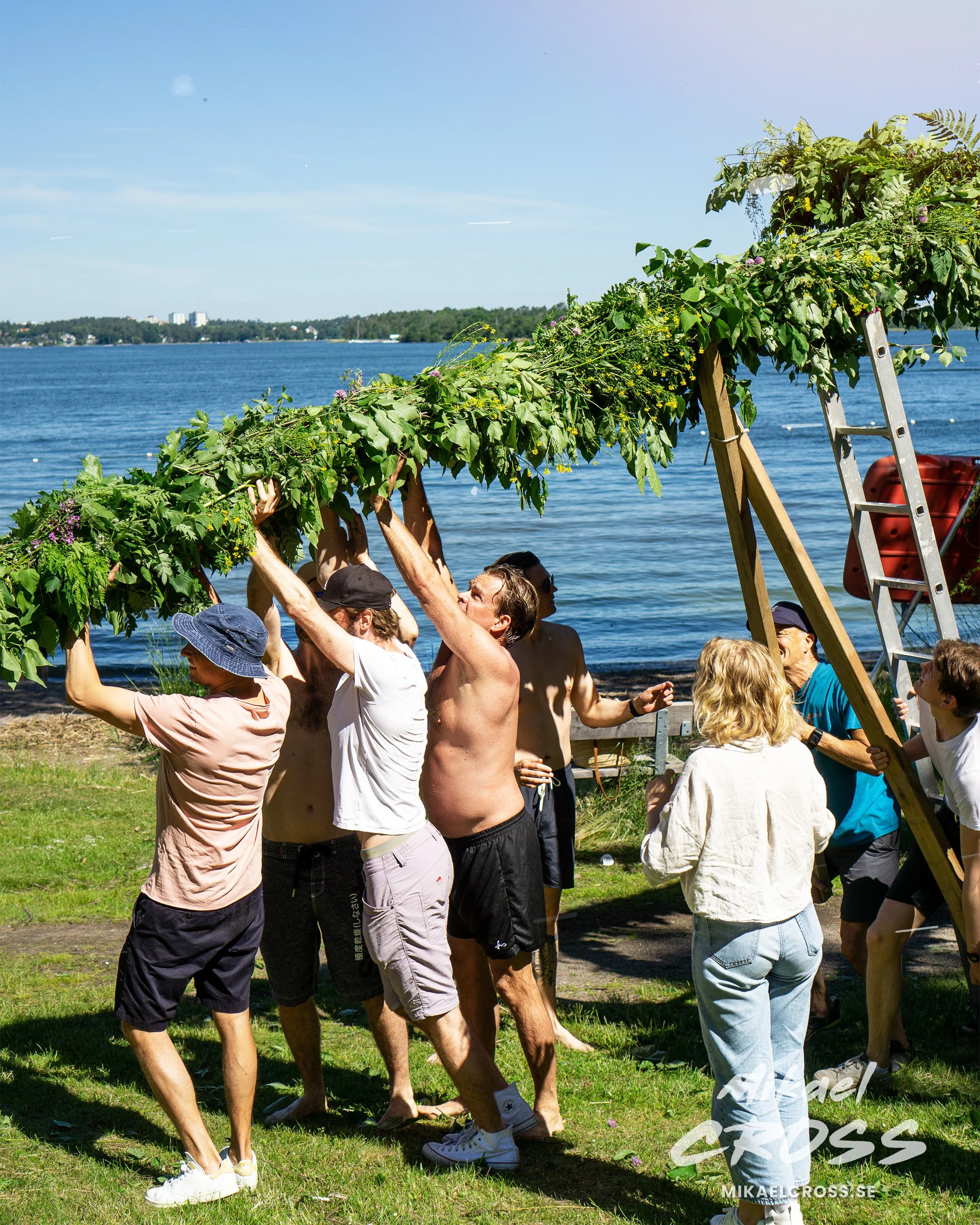 Män som bygger en midsommarstång vid vatten på en solig dag.