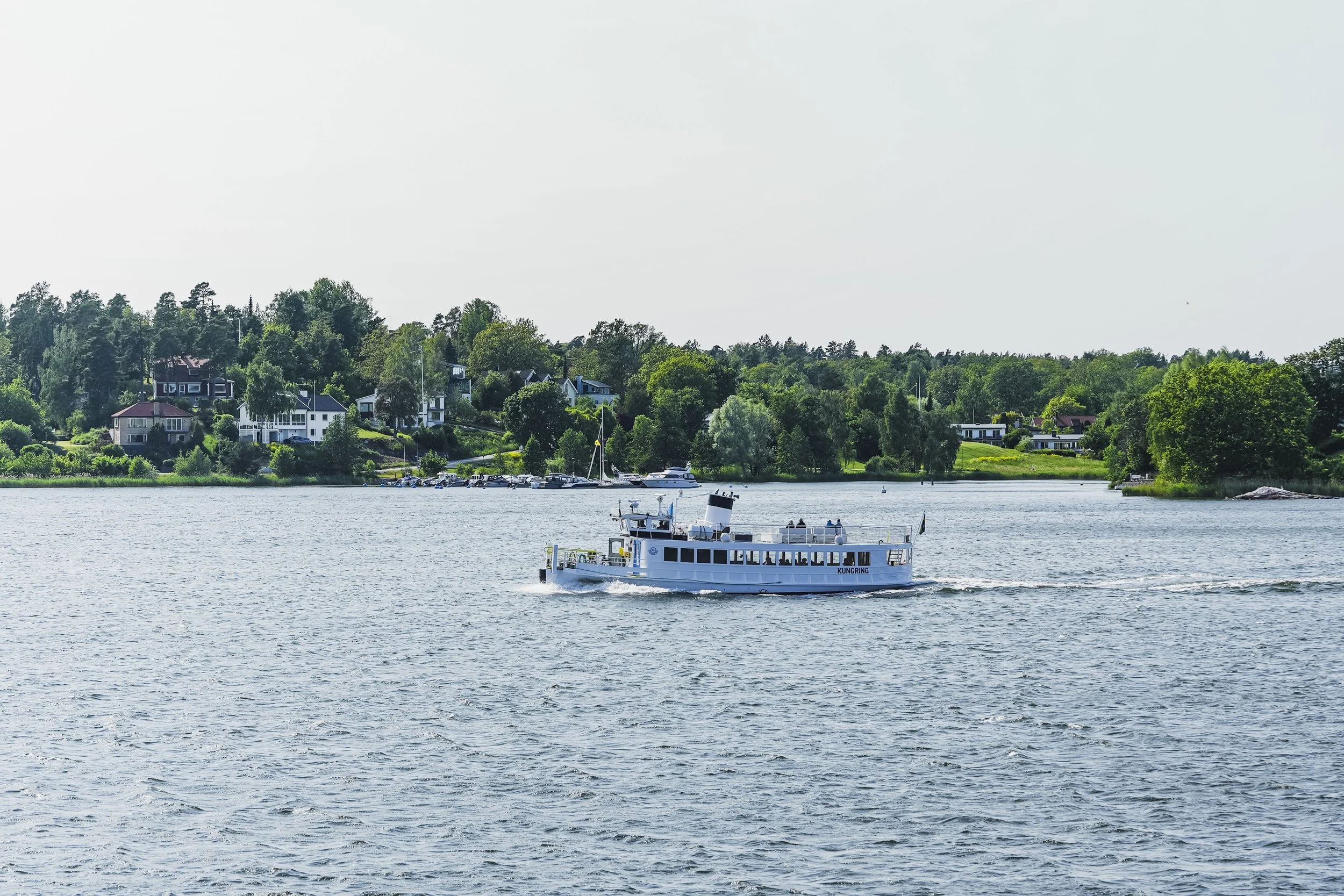 En vit färja på vattnet med en grön, vilande landskap och hus i bakgrunden.
