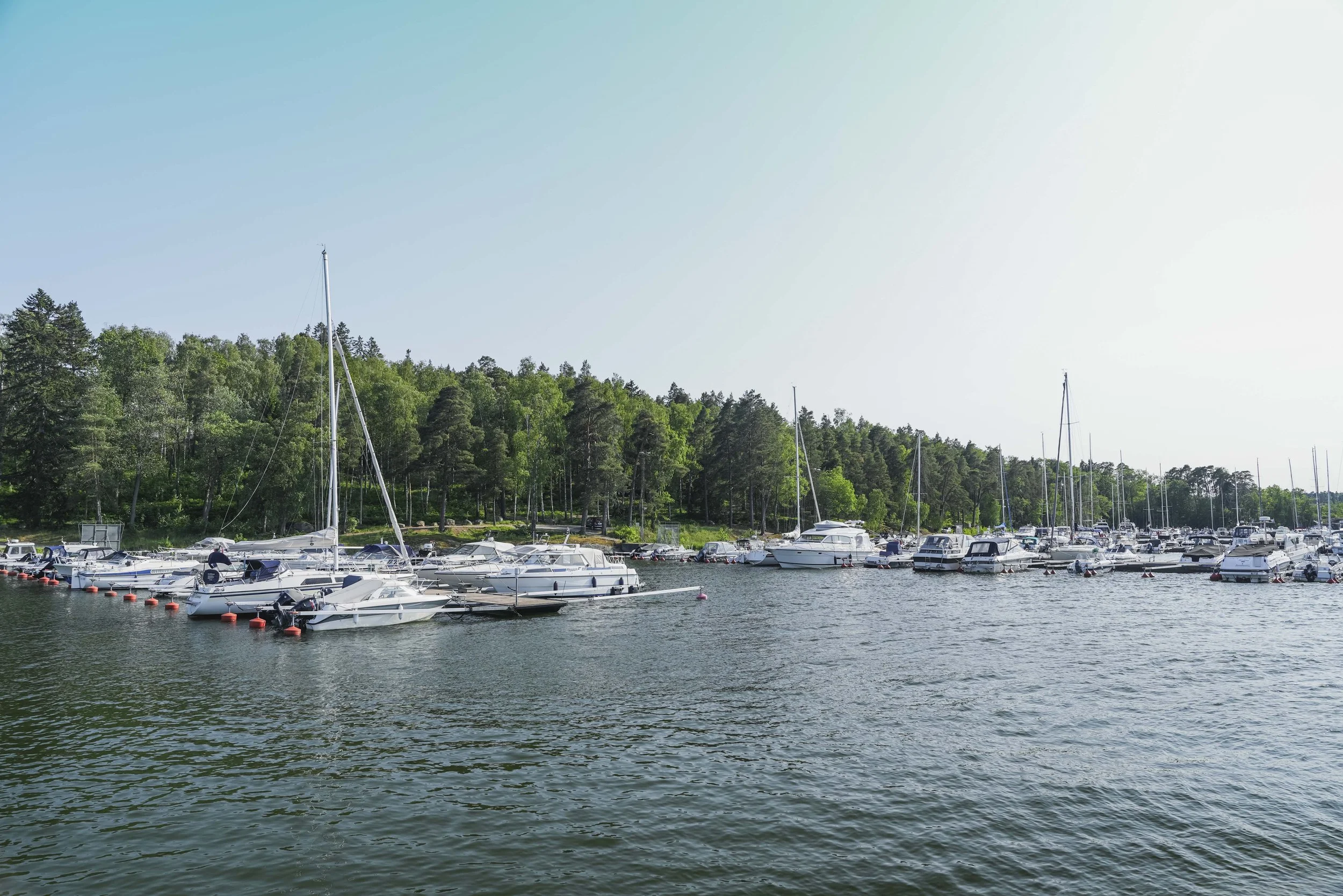 Båt i hamn med gröna träd i bakgrunden, klar himmel.