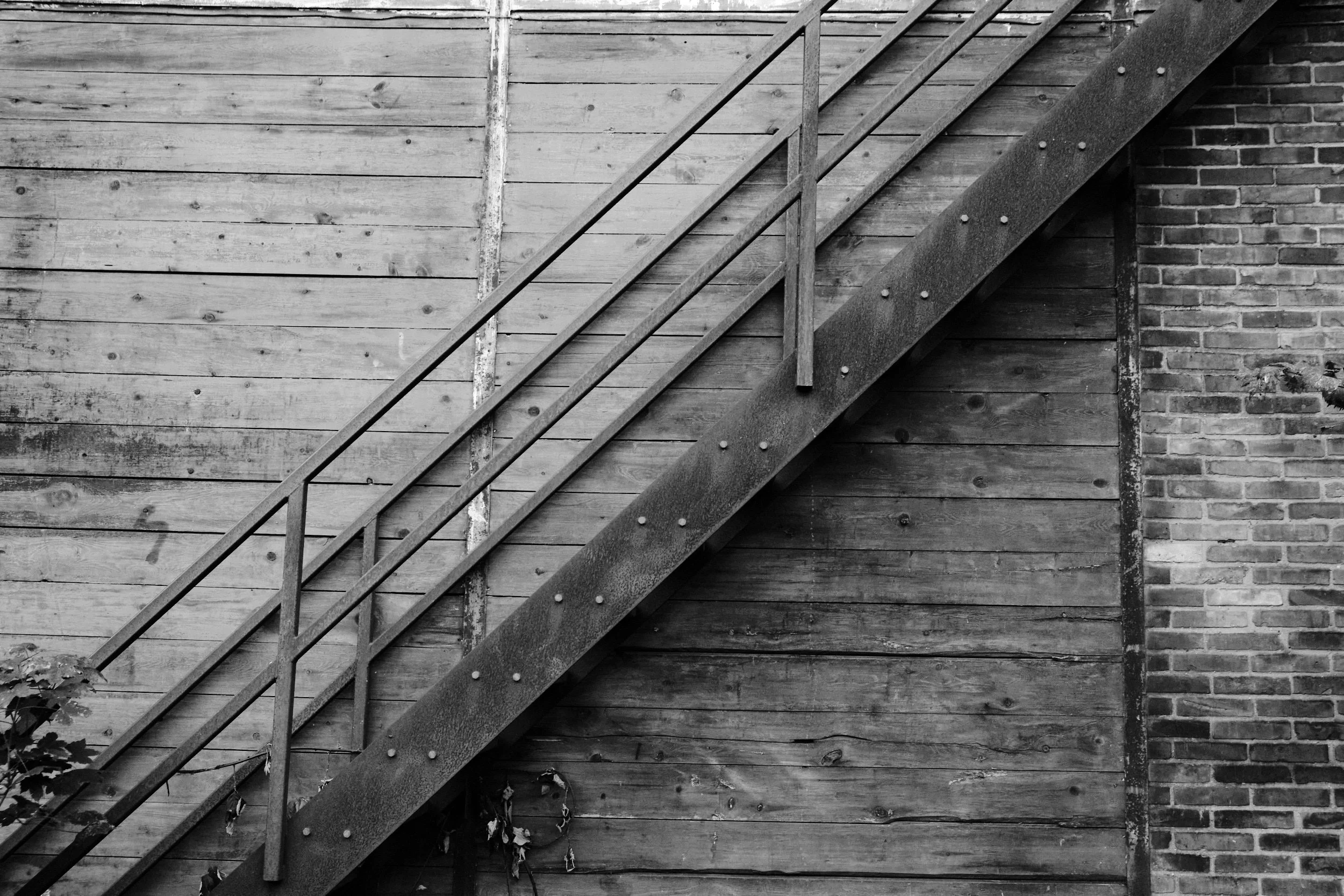 2025-09 Reffen Momento 0096.jpg