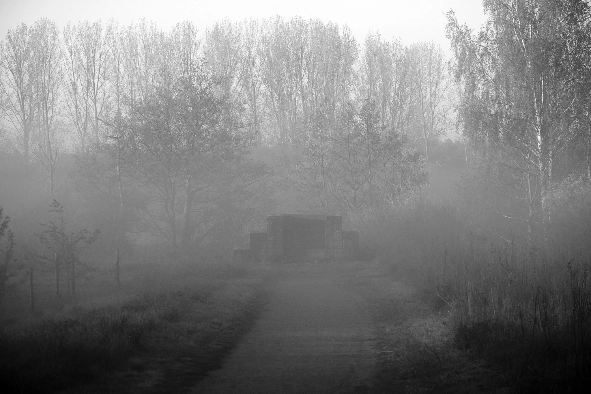 2025-04 Morgentåge Regnsøen 0023.jpg