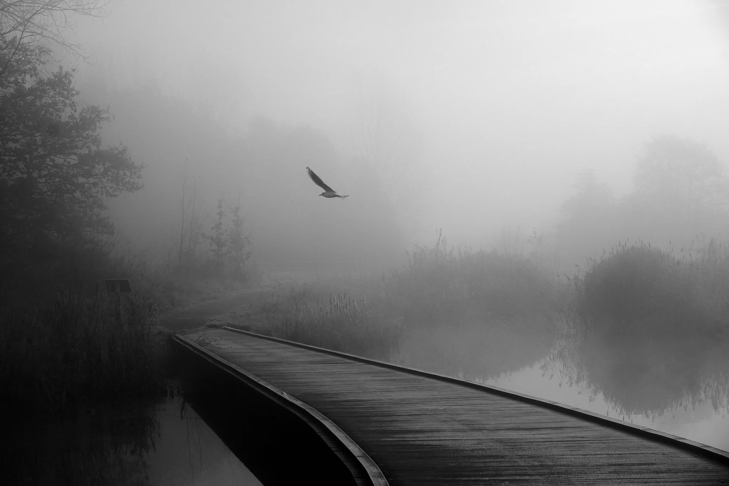 2025-11 Baghaven morgen 0095.jpg