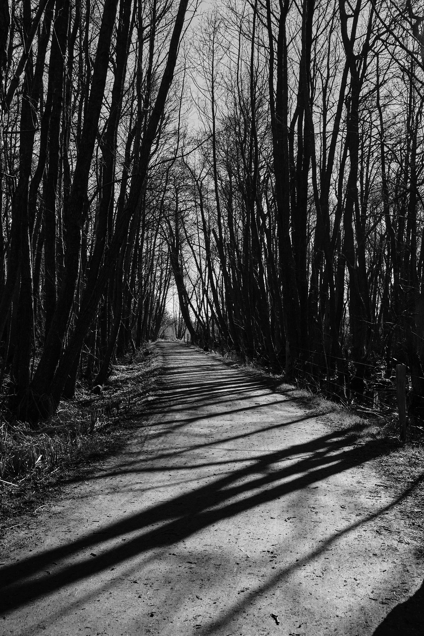 2025-03 Vaserne 0128.jpg