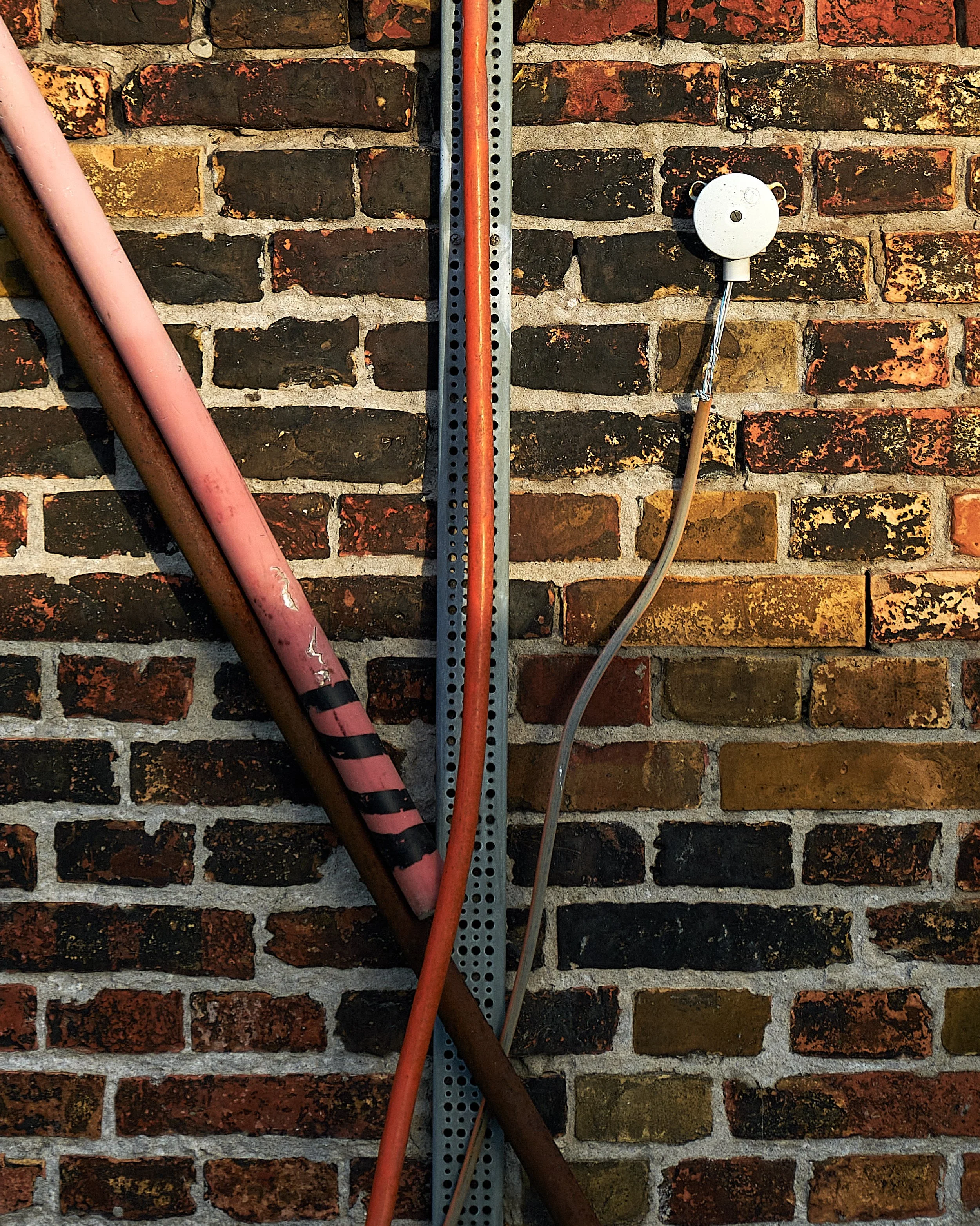 2025-09 Reffen Momento 0047 1.jpg