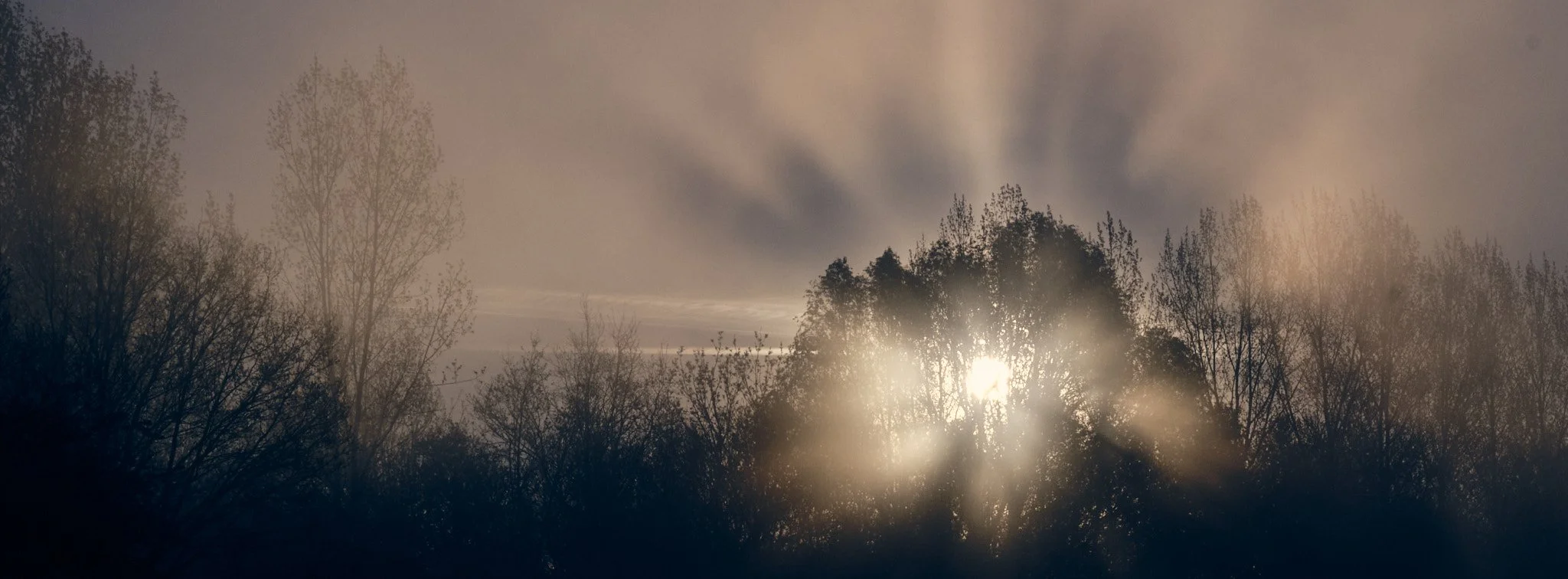 2025-04 Morgentåge Regnsøen 0034 2.jpg