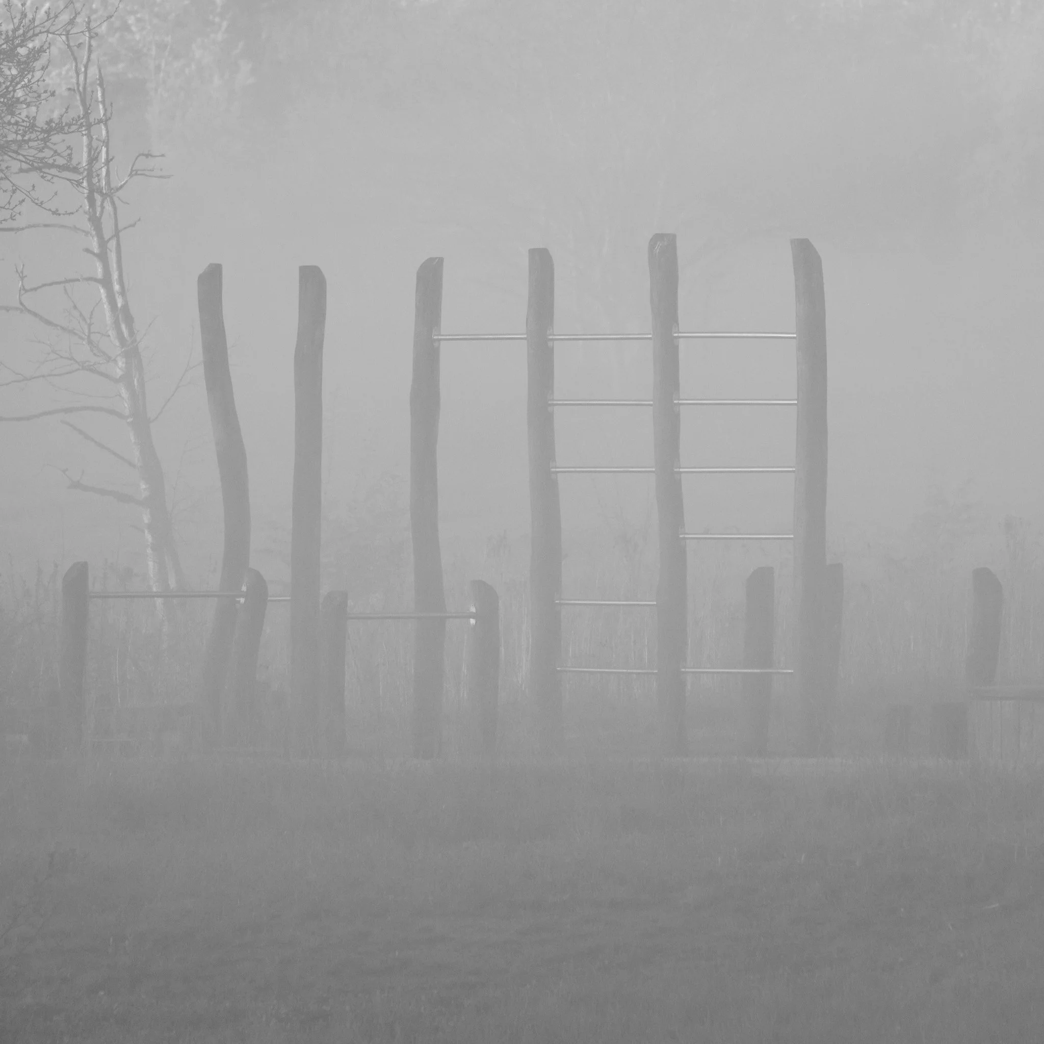 2025-04 Morgentåge Regnsøen 0021.jpg