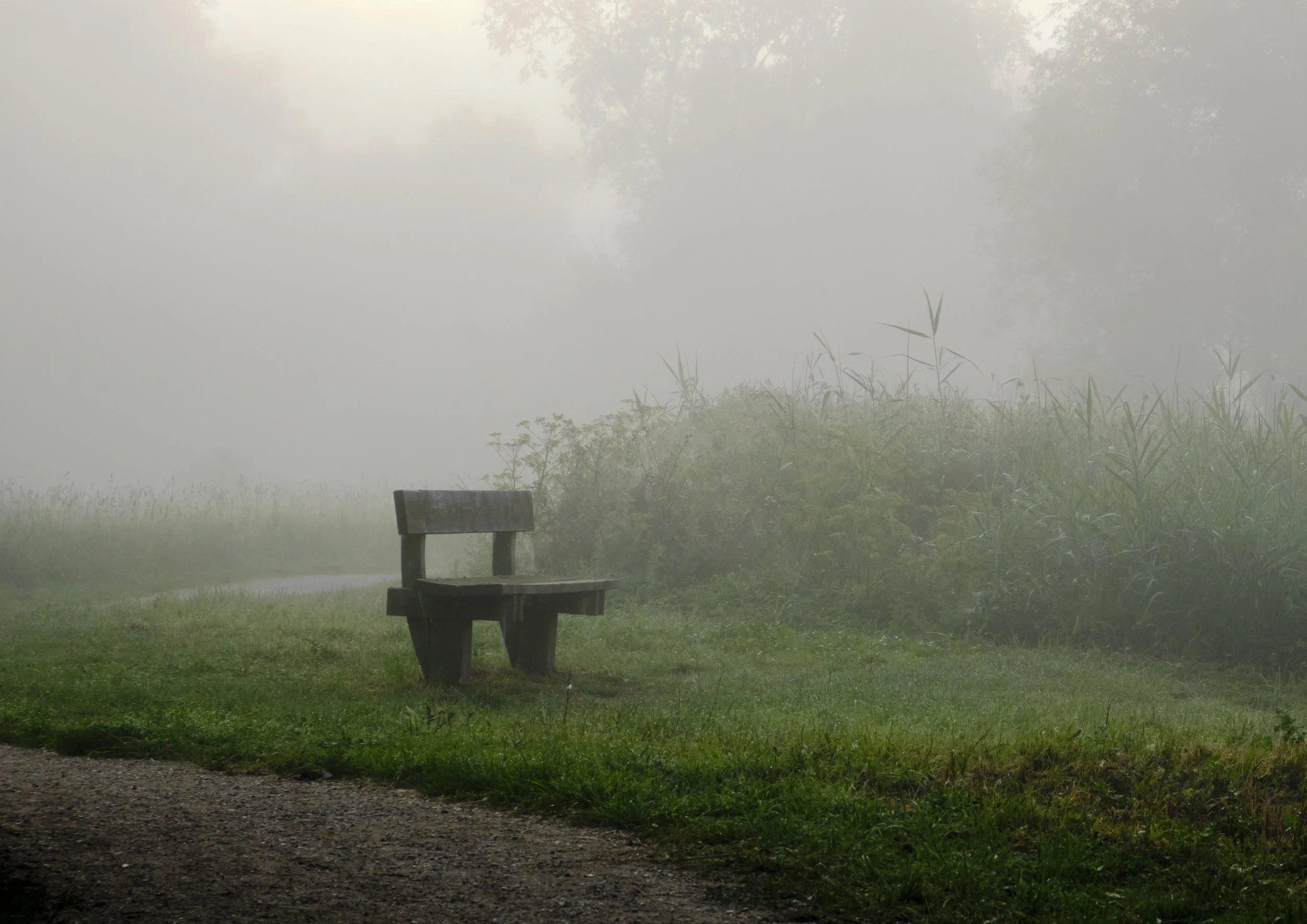 DSCF0653 1.jpg