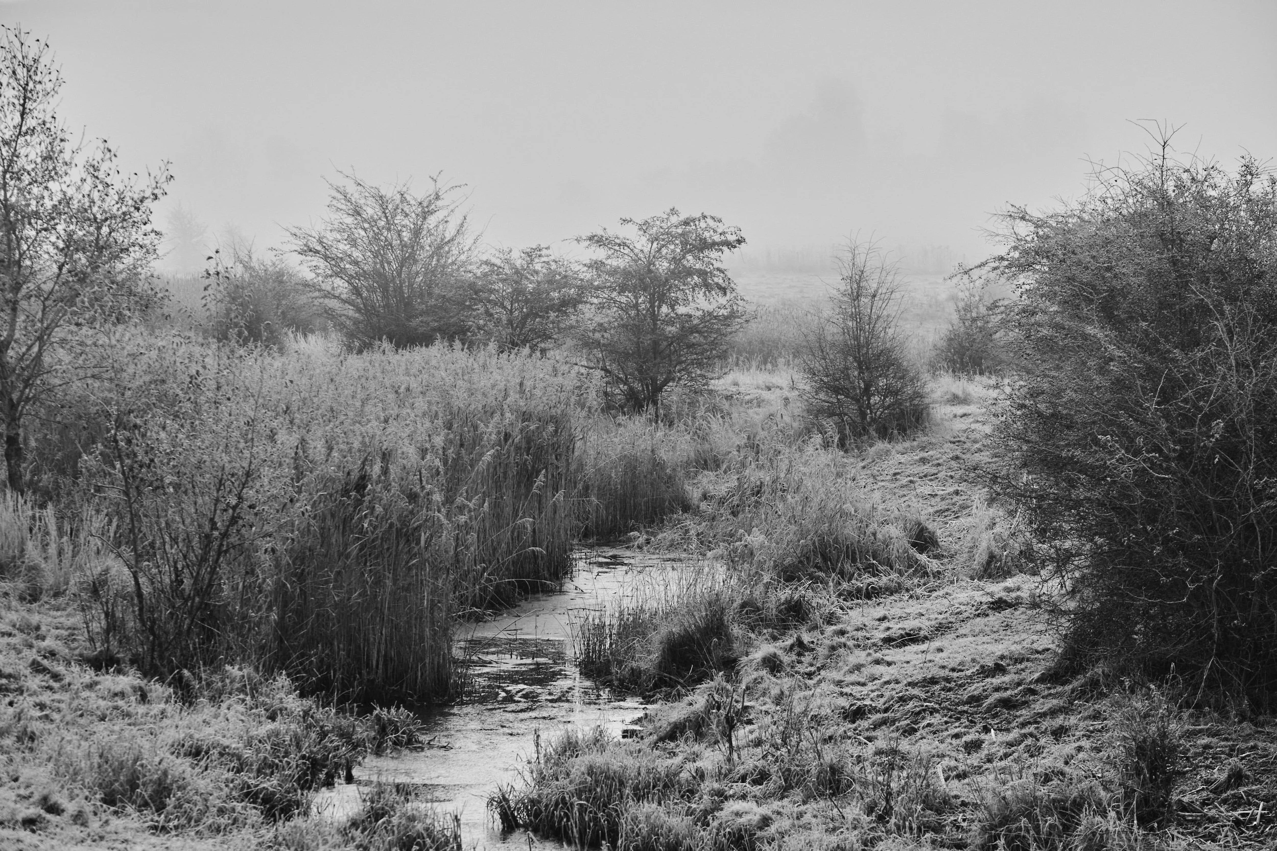 2025-11 Baghaven morgen 0020.jpg