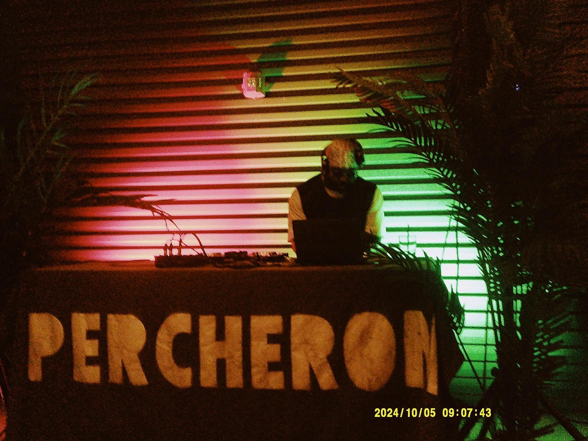 DJ performing at a booth with a banner reading 'PERCHE' at an event with colorful lighting and plant decorations.
