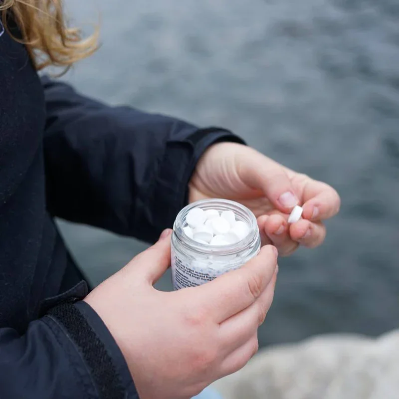 cruch and brush 2.webp