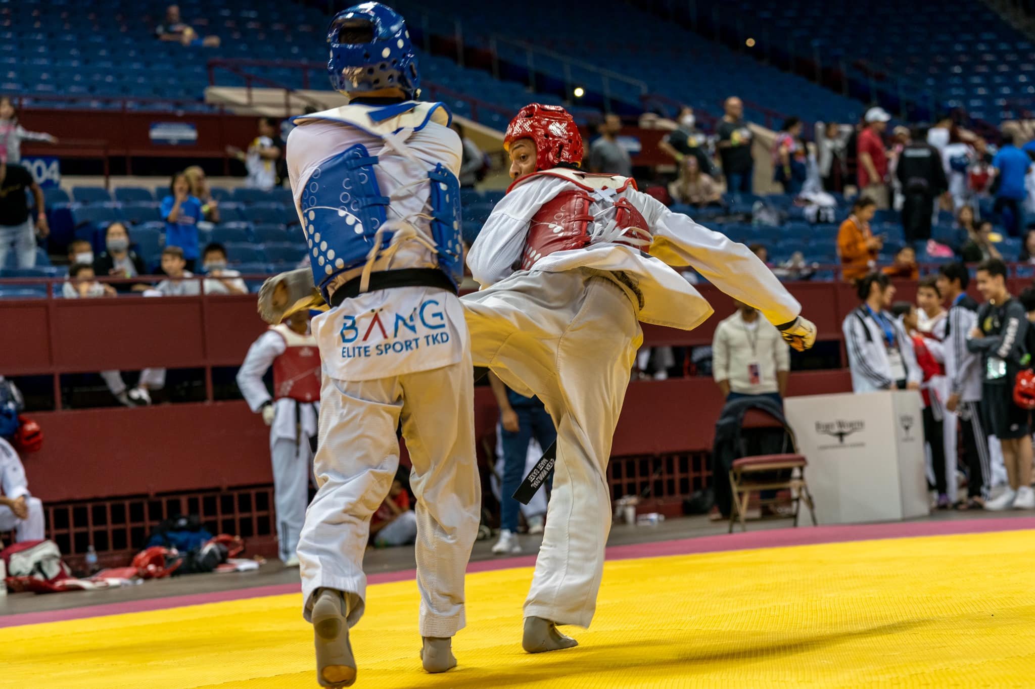 Back Kick.jpg