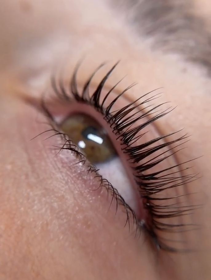 Captura de pantalla 2026-01-09 a las 18.13.46.png