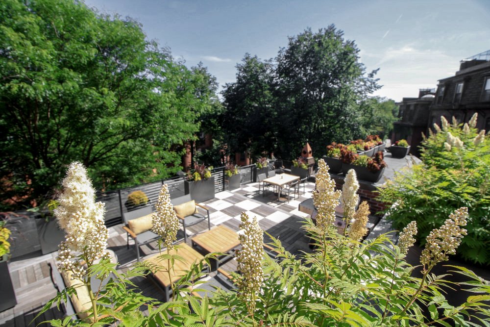 recover-residential-roof-deck-boston-20180628-22(2).jpg
