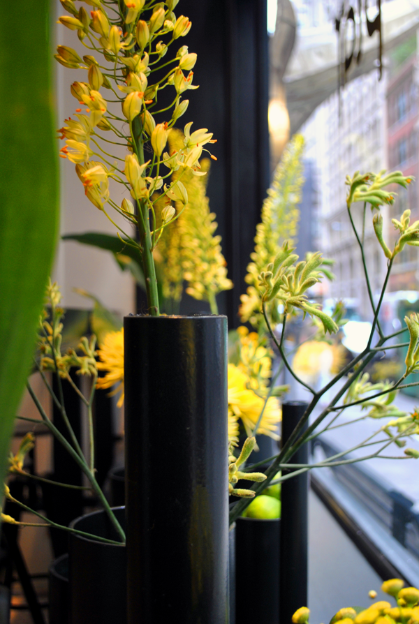 flowers1.png