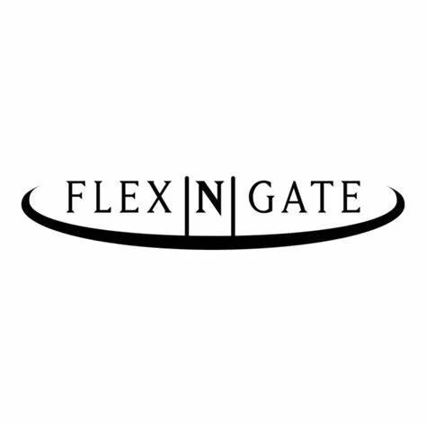 flexngte.jpeg