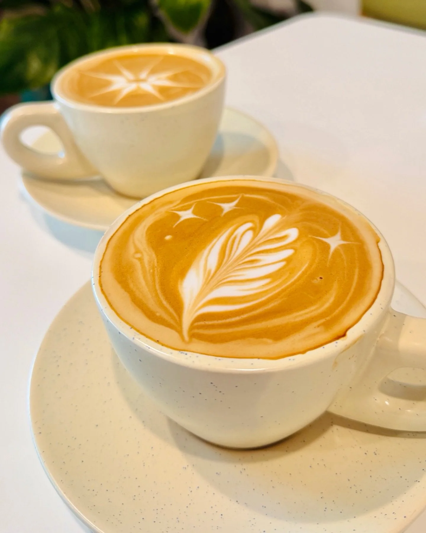 we&rsquo;re back 🥲🤍
open today and every day mon&ndash;sun, 9&ndash;5

can&rsquo;t wait to see our cove community again. hope everyone had the coziest winter break and a really happy new year. come say hi, grab a drink, settle back in ✨☕️