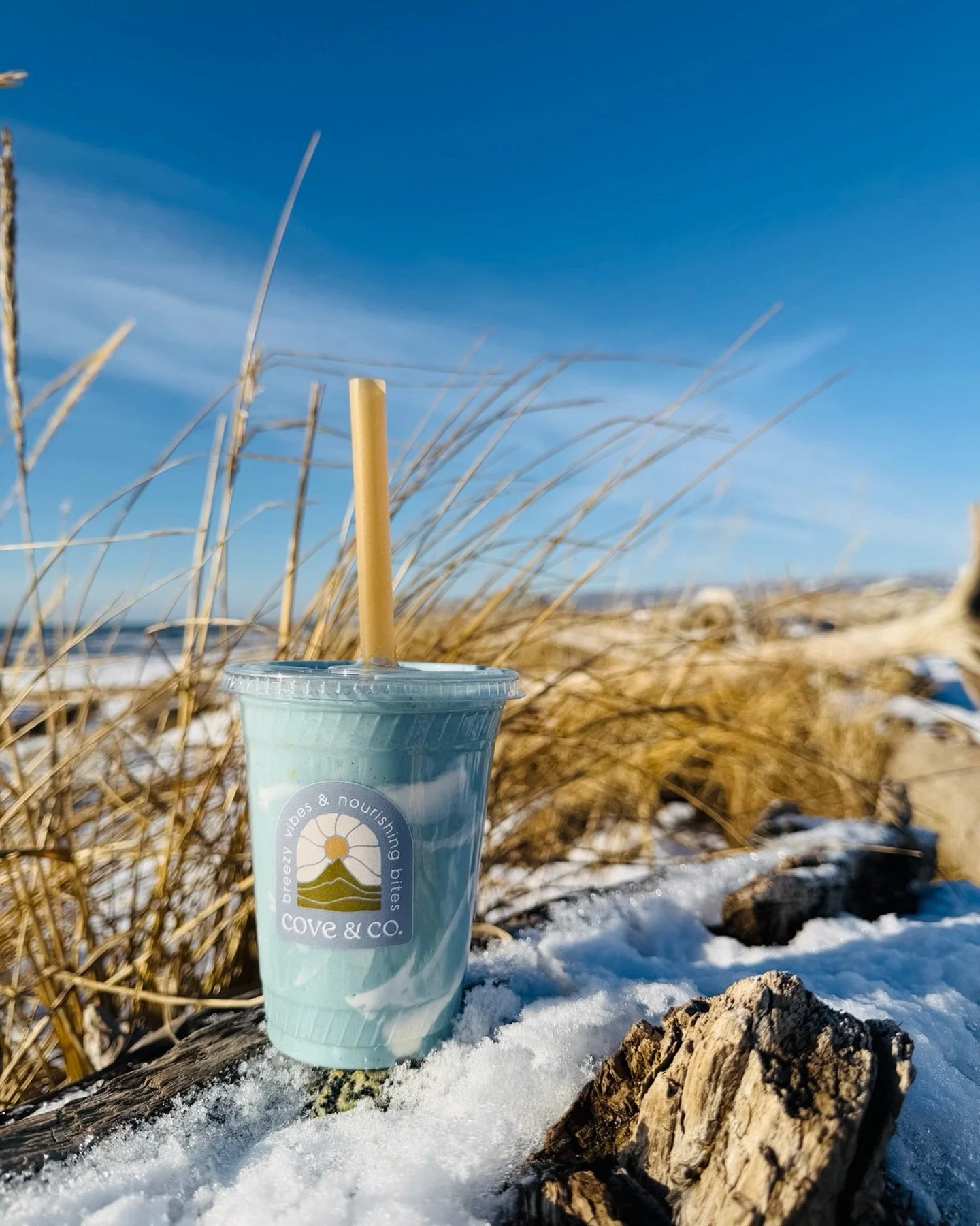 galentine&rsquo;s vibe check: blue skies and sadie swells. 🧊🌊🫶