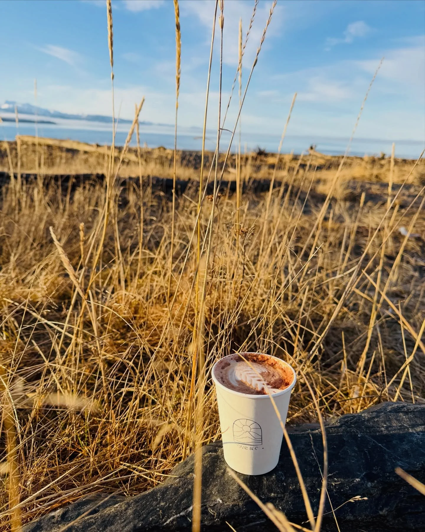 happy weekend 🌞

we hope it&rsquo;s a good one ❤️