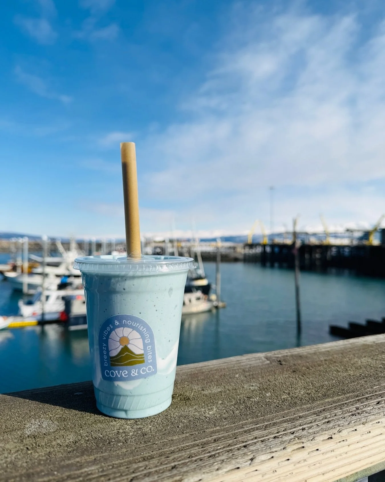 we hope you have a [sadie] swell day 🌊