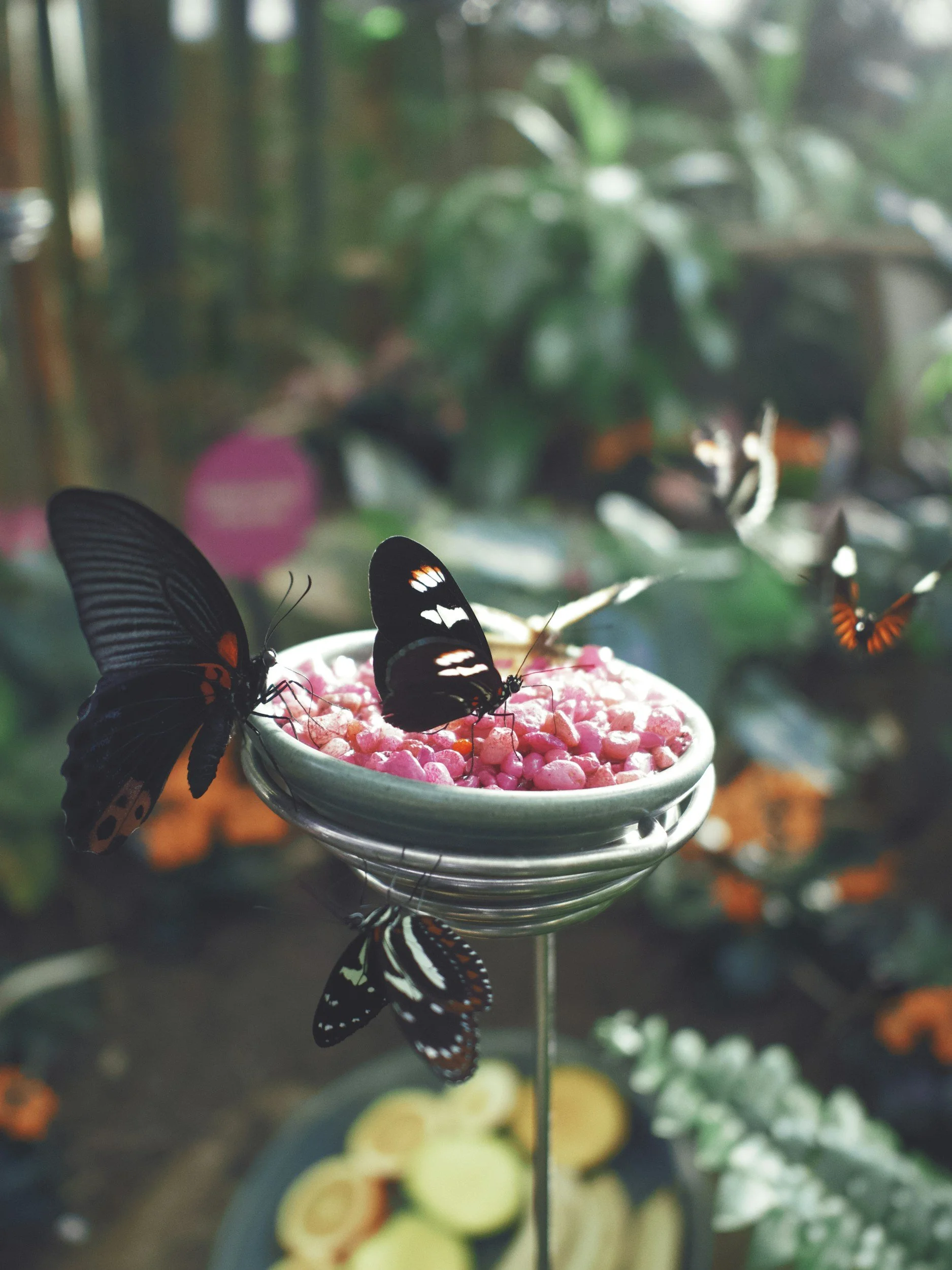 unsplash-image-yrLWPfzM3qc.jpg