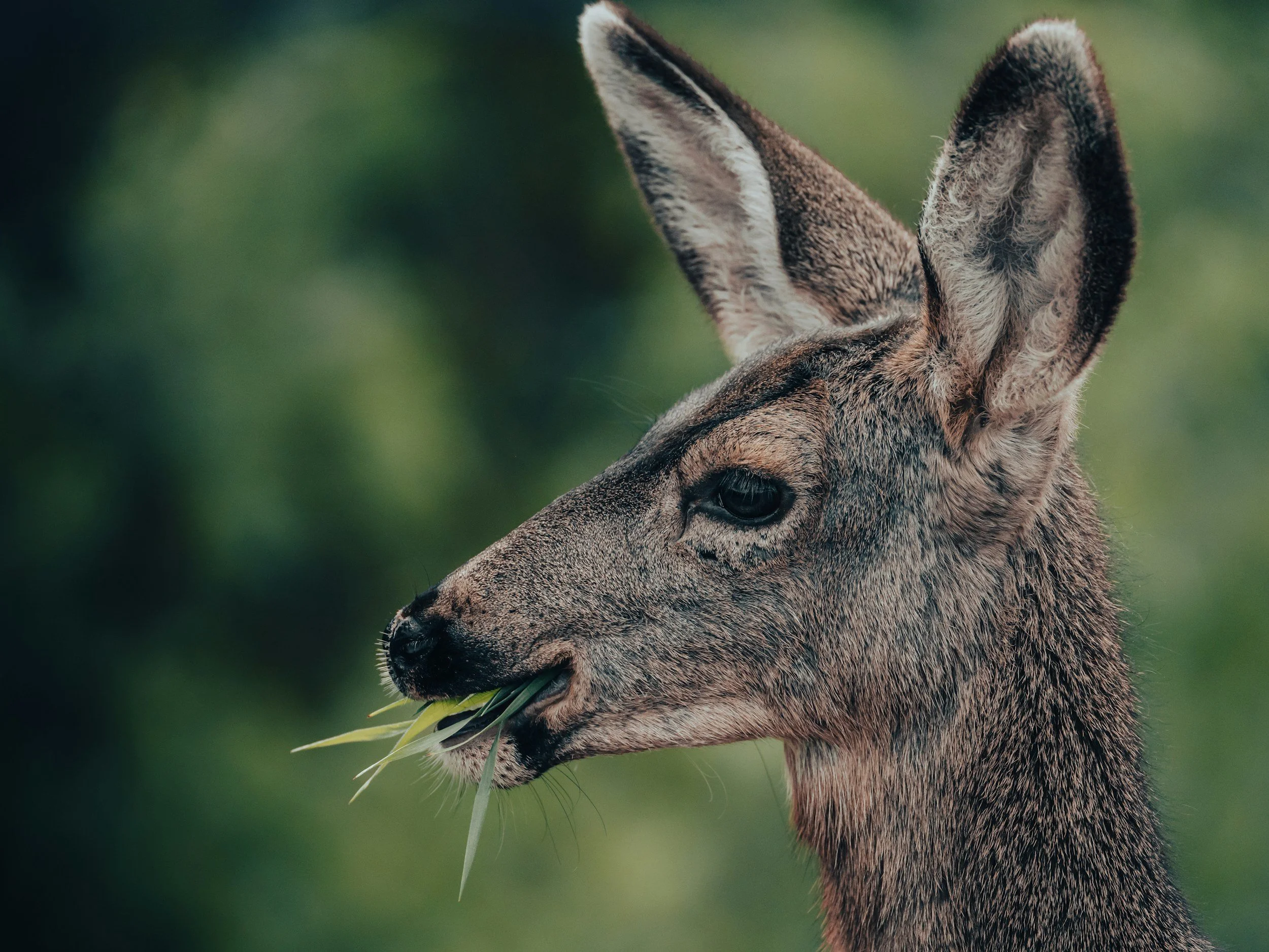 unsplash-image-g6ppK8I9O7o.jpg