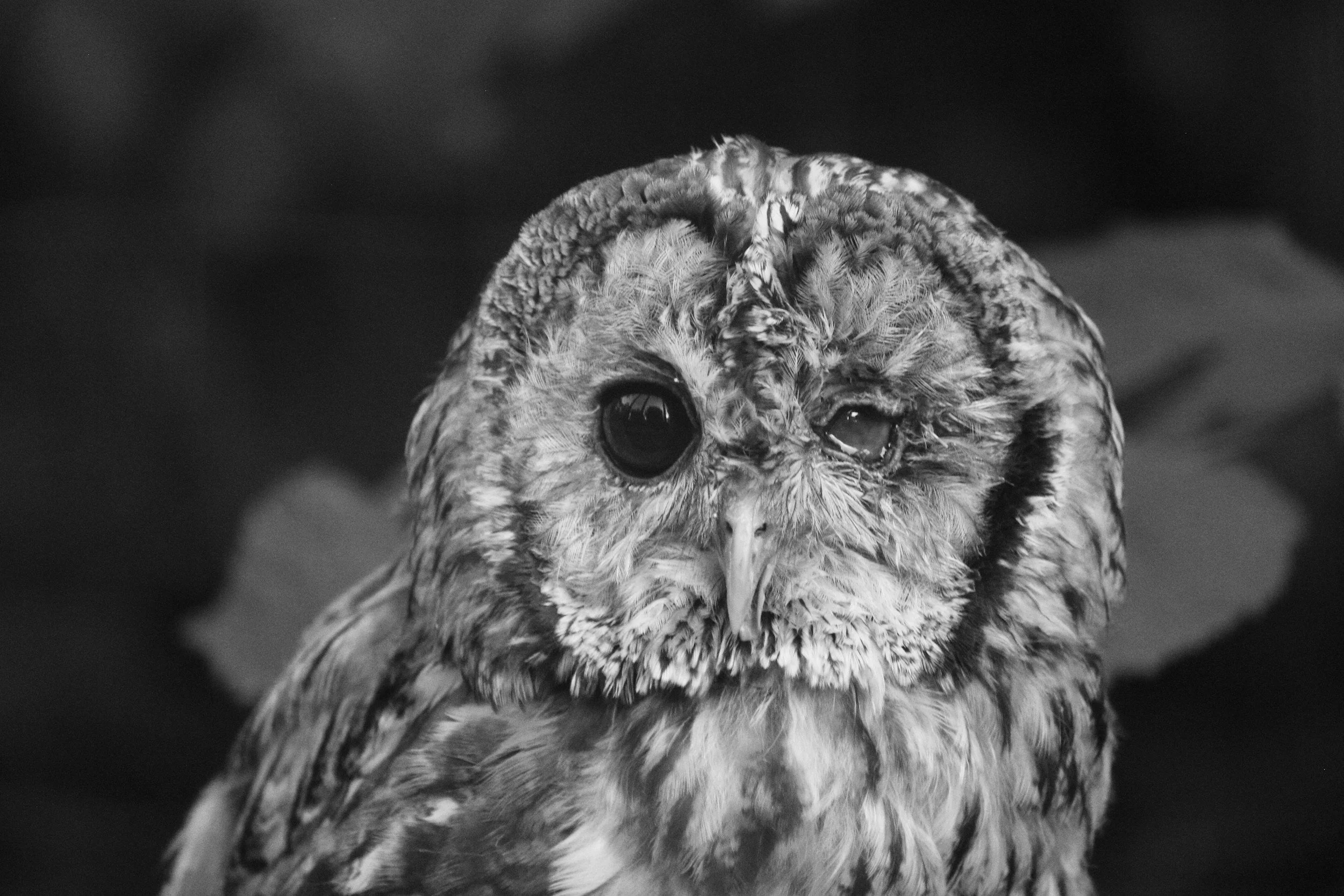 unsplash-image-lUuwMeFUcQ4.jpg