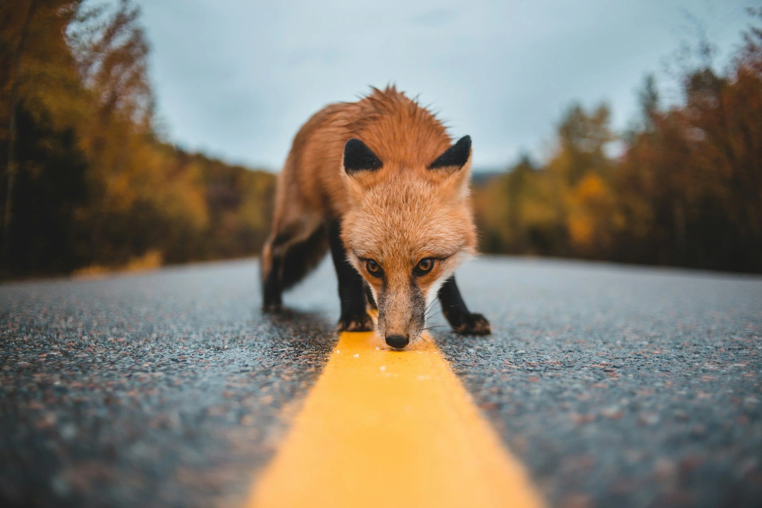 unsplash-image-TNjdgCBRMeU.jpg