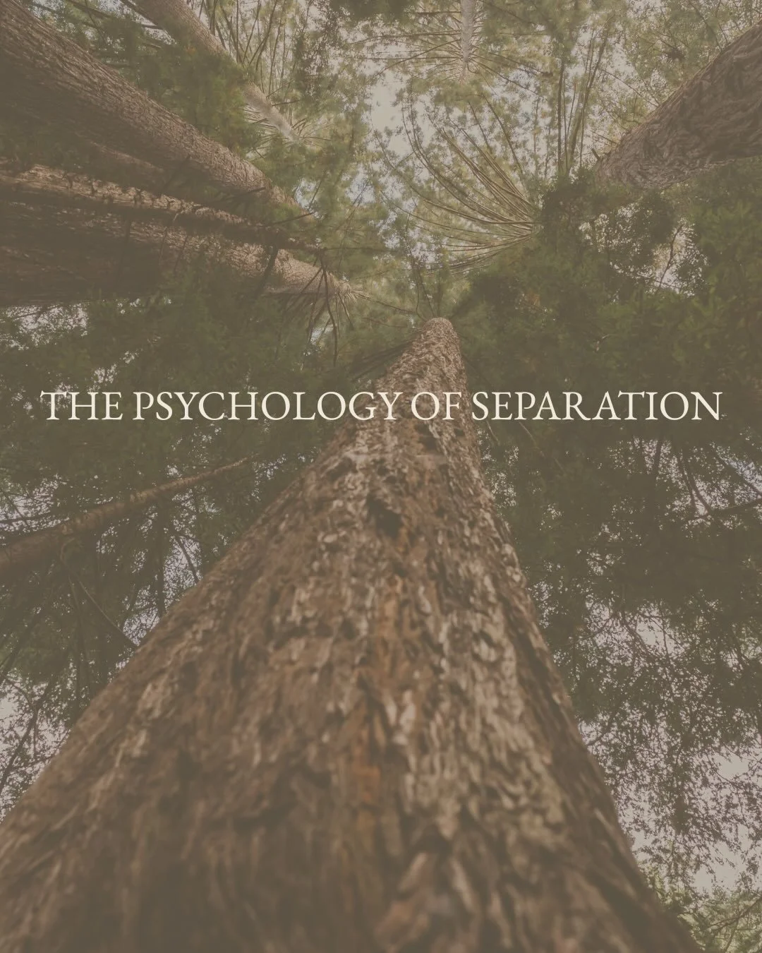 The Psychology of Separation 

The psychology of separation is a set of conditioned belief systems stemming from the idea that we are separate from nature. 

Intentional misinformation over generations has cascaded into perceived separateness everywh