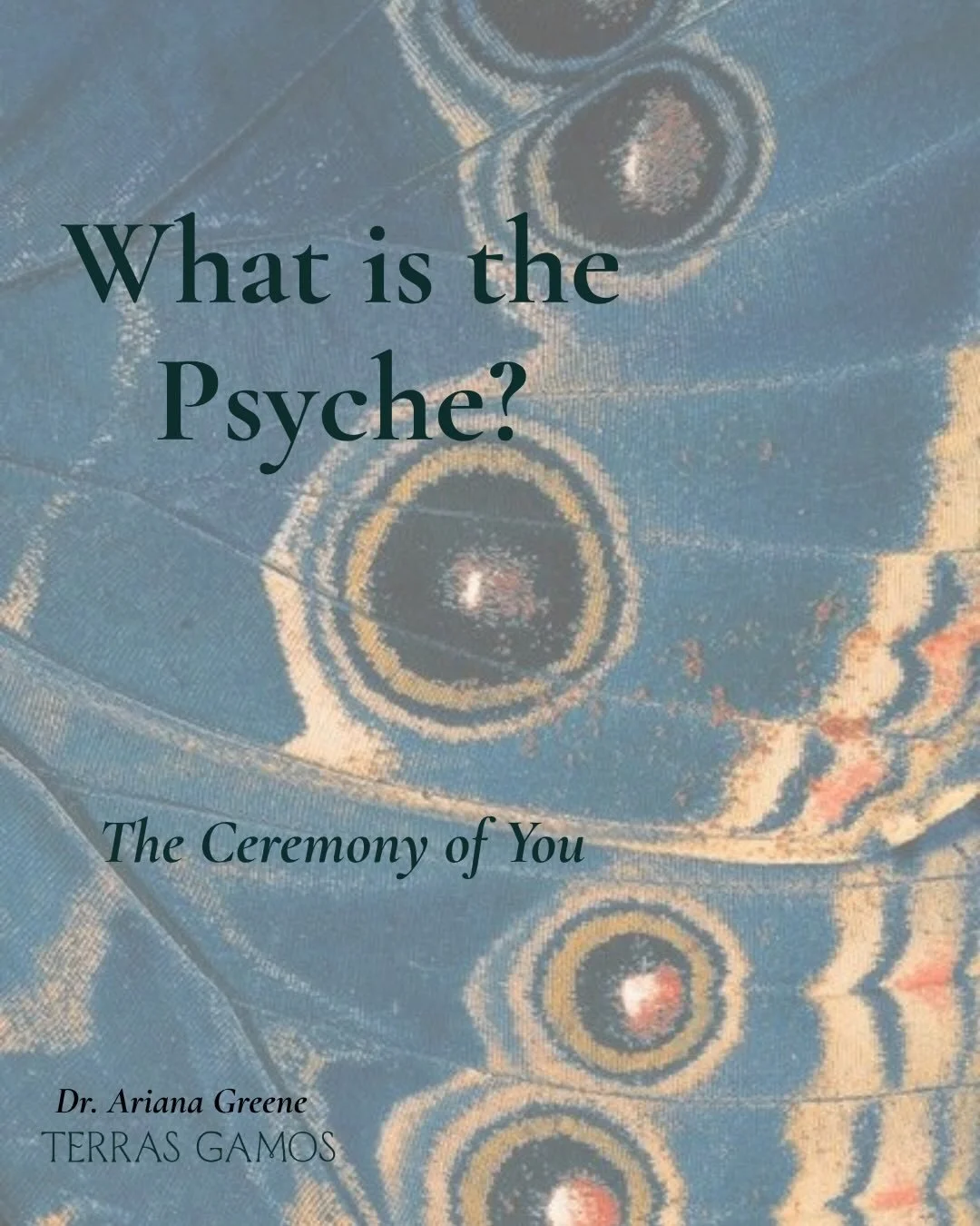 What is the psyche? 

Through the lens of depth psychology, animism, and ceremony, the psyche is the experience of the deepest self in relationship with the web of life. 

The living field that holds perception, emotion, imagination, memory, instinct