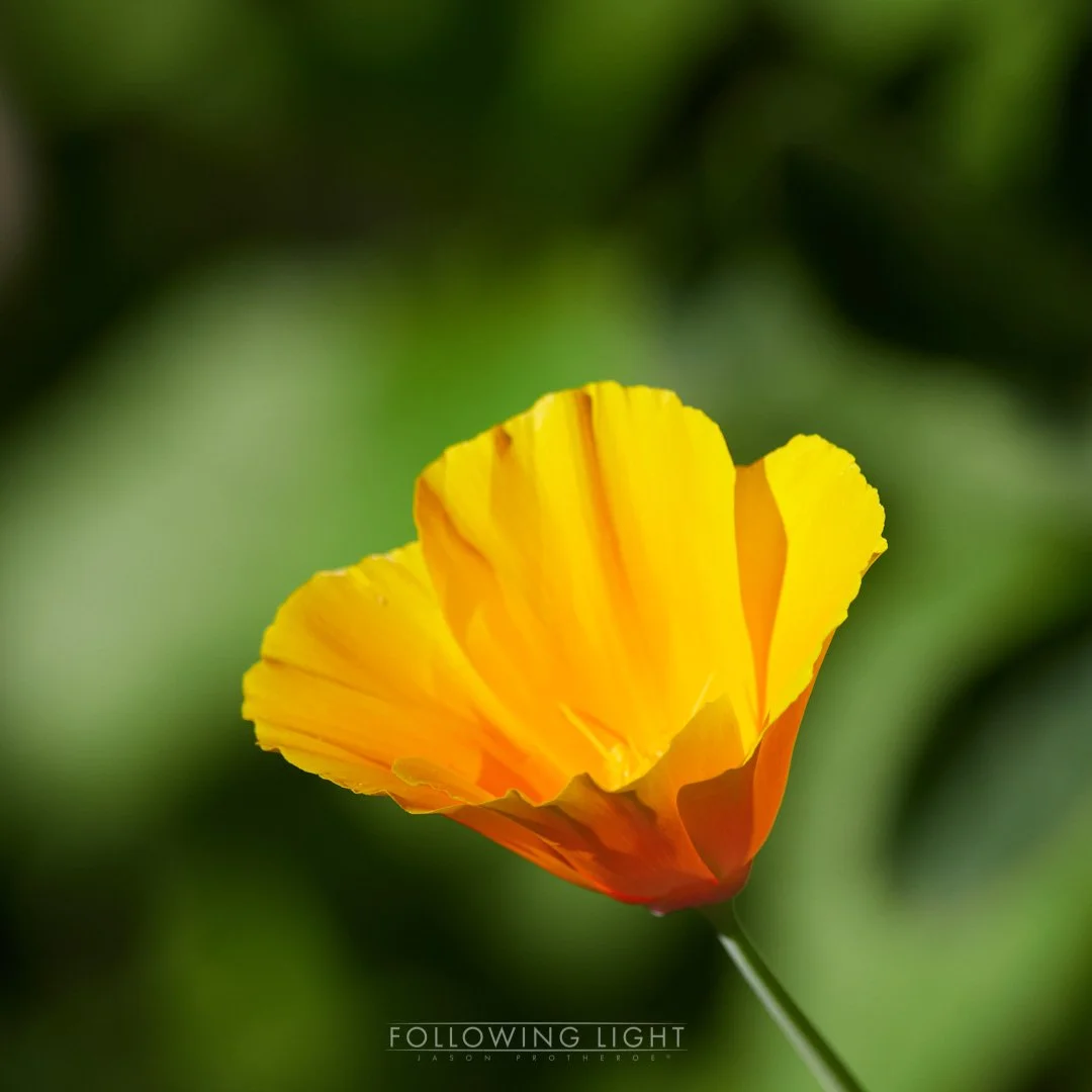 Lightroom and Olympus