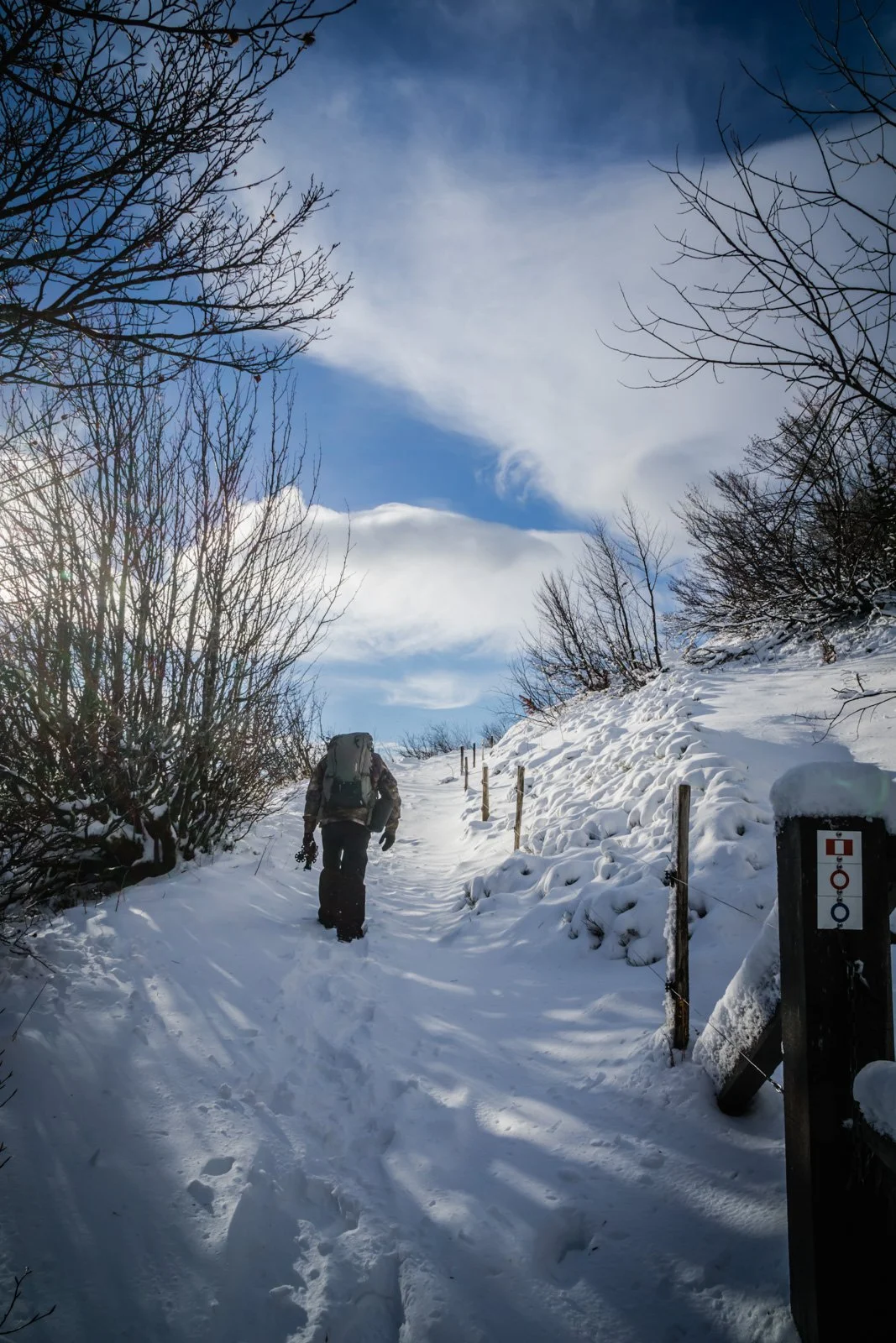 A Windy Day in the Vosges