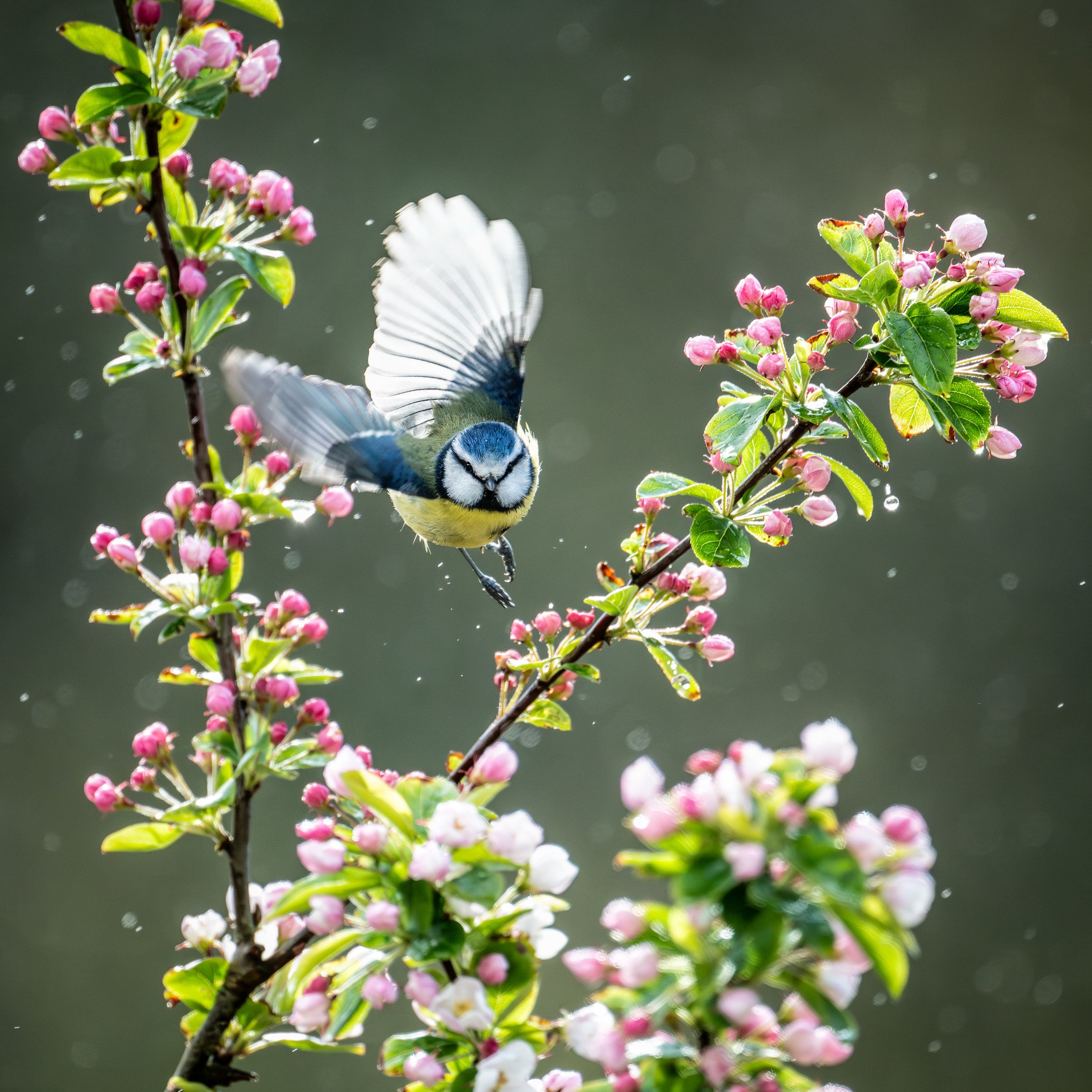 DSC_3267-Edit.jpg