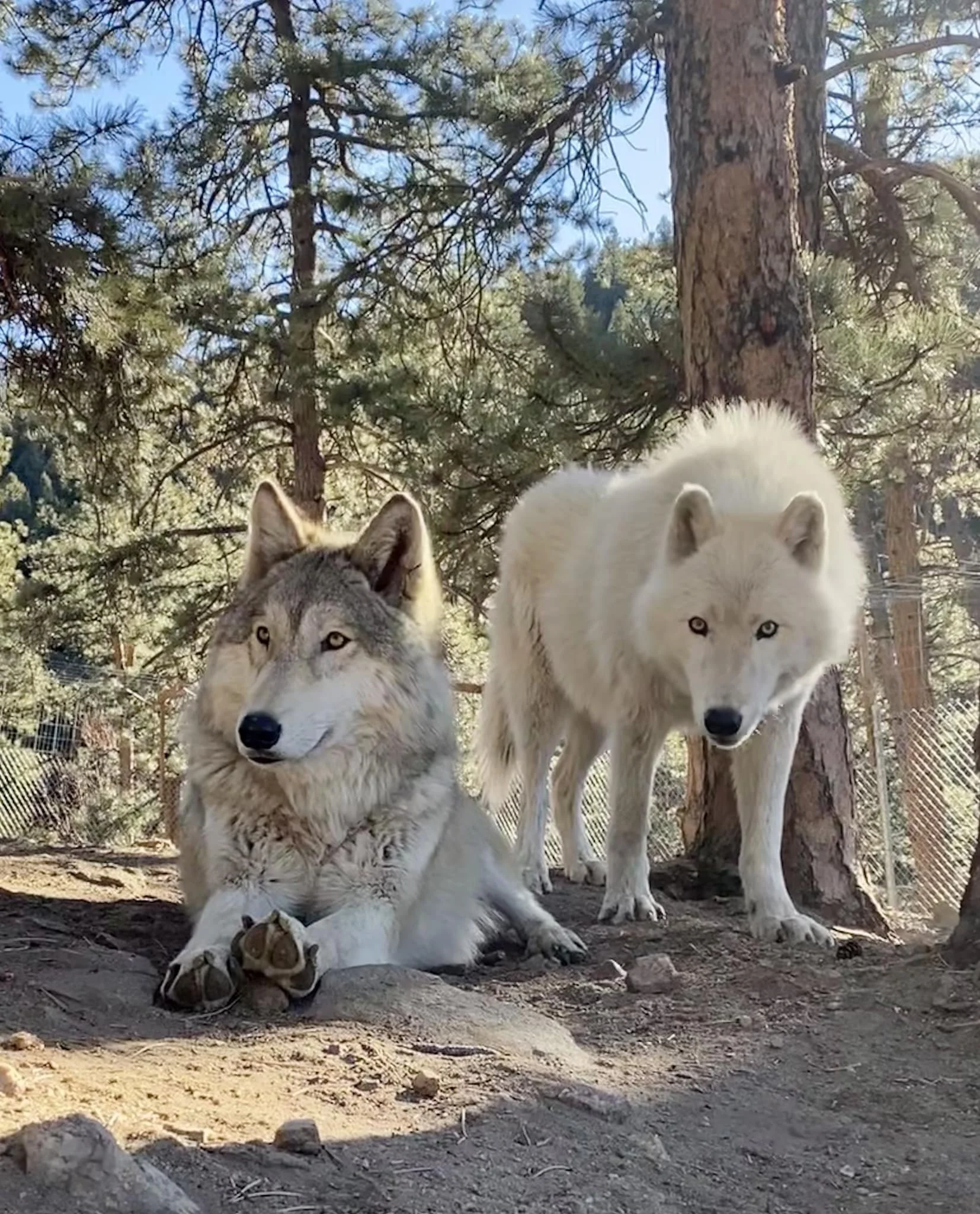 Xochi and Owa.jpg