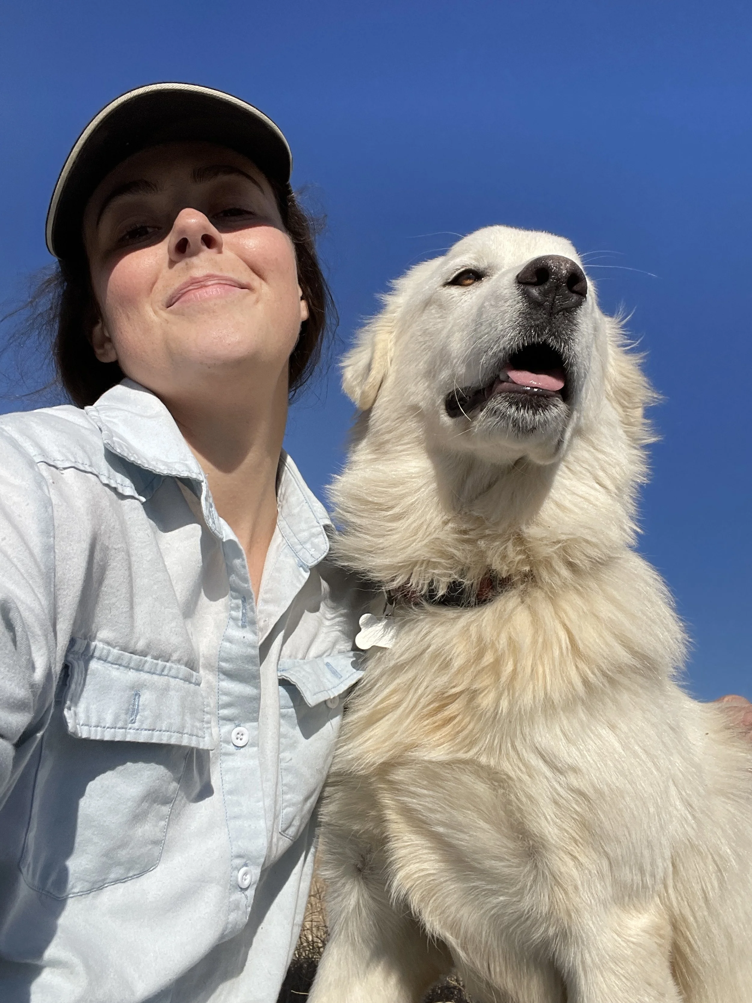 A woman taking a selfie with a livestock guardian dog