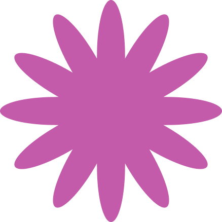 A purple flower with elongated petals on a black background.