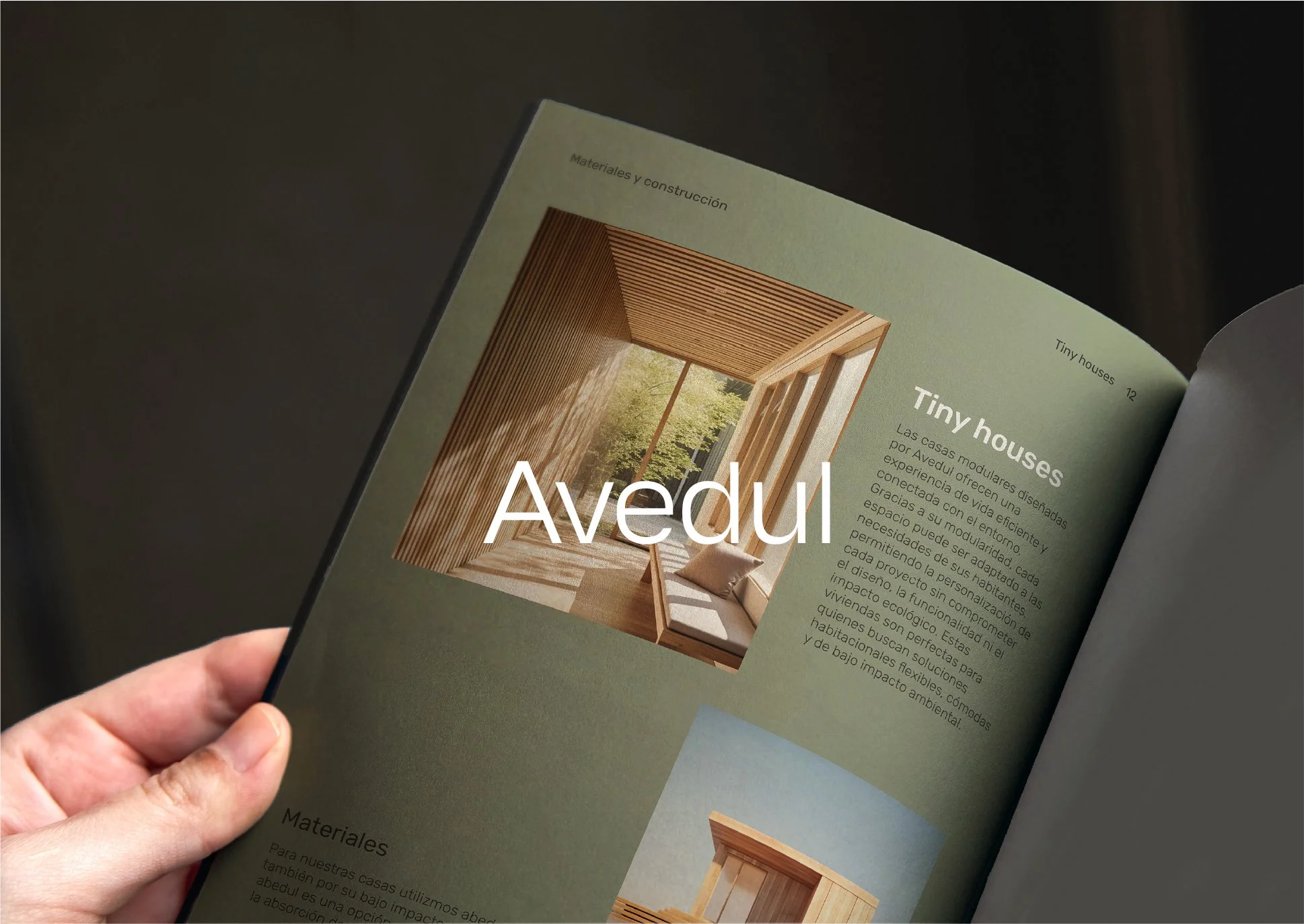 Avedul_Branding_6.jpg