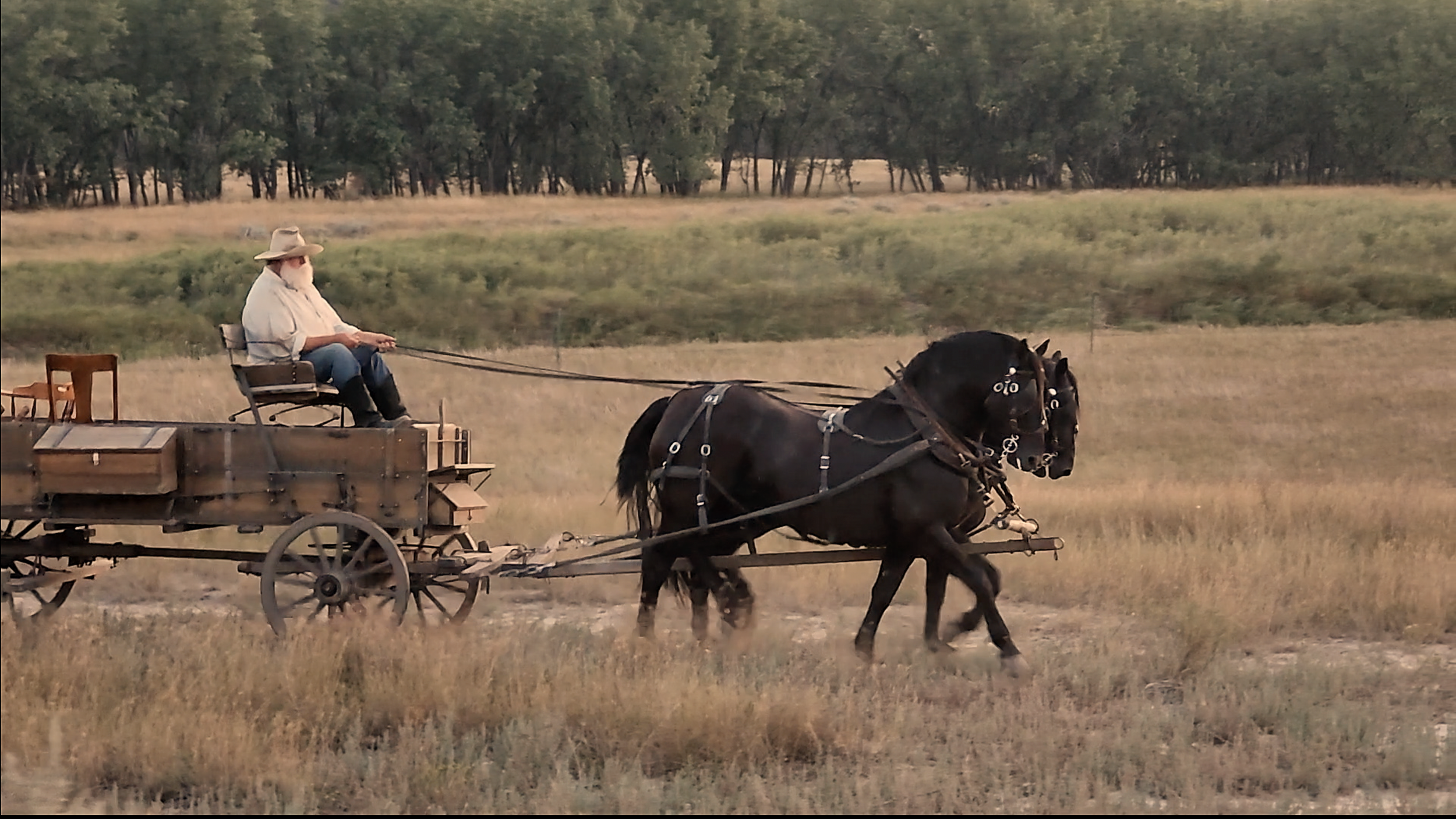 homepage screenshot.png