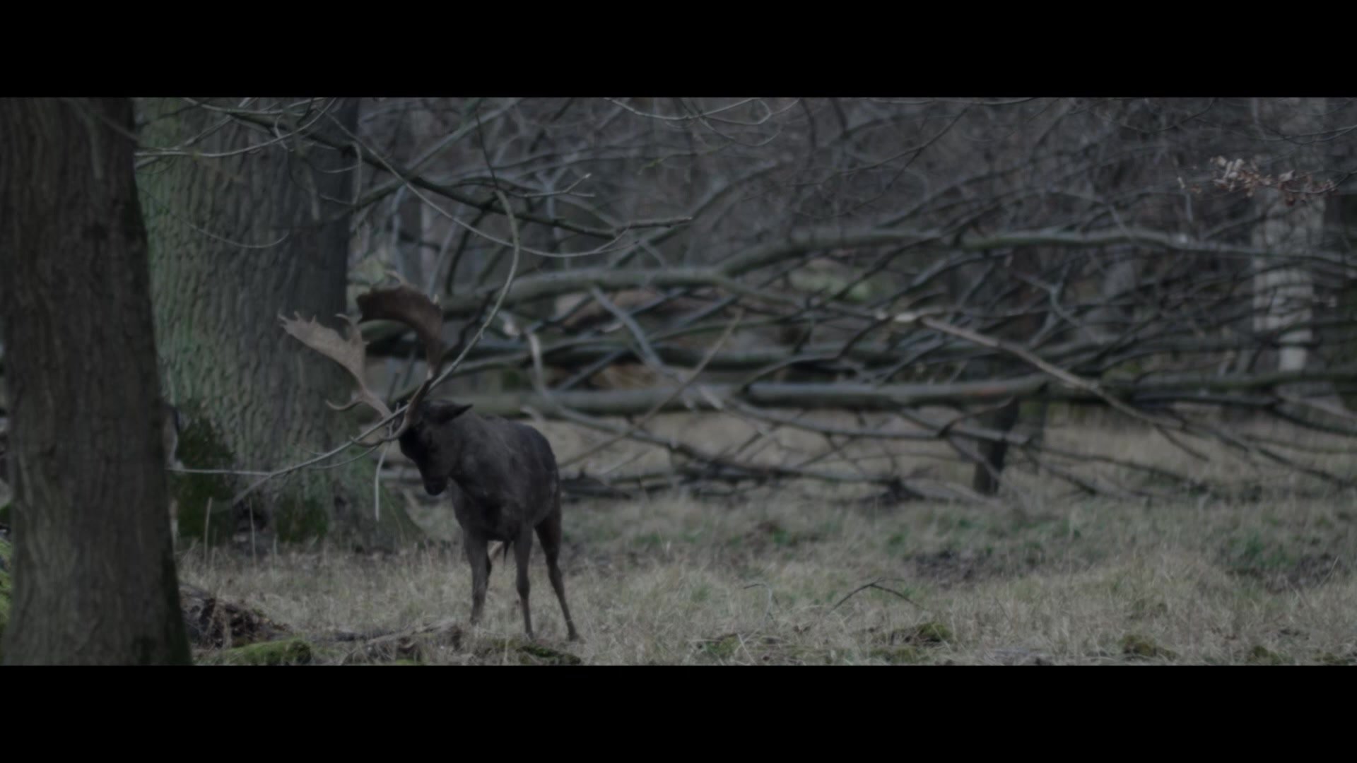 bg_hellerweg_3_first_frame.jpg