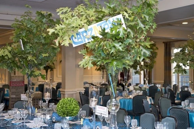 Carz-N-Toyz_Dinner2017_9392.jpg