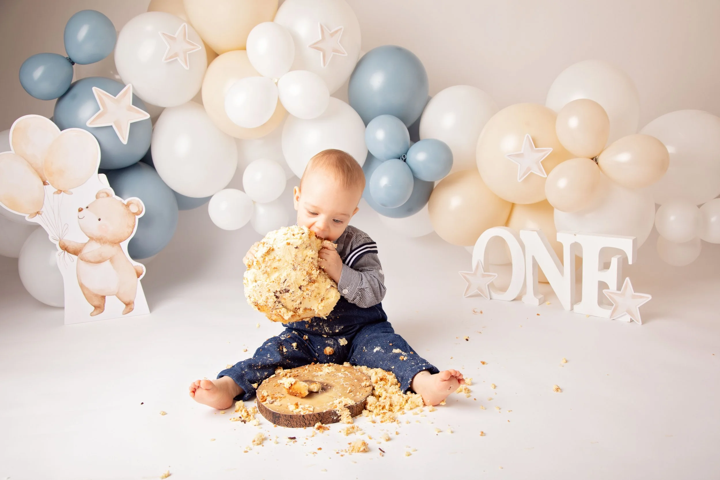 Looking for a First Birthday Cake Smash