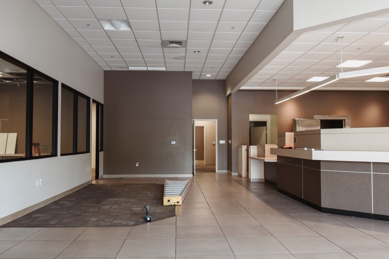 DSC_0732 2 Large.jpeg